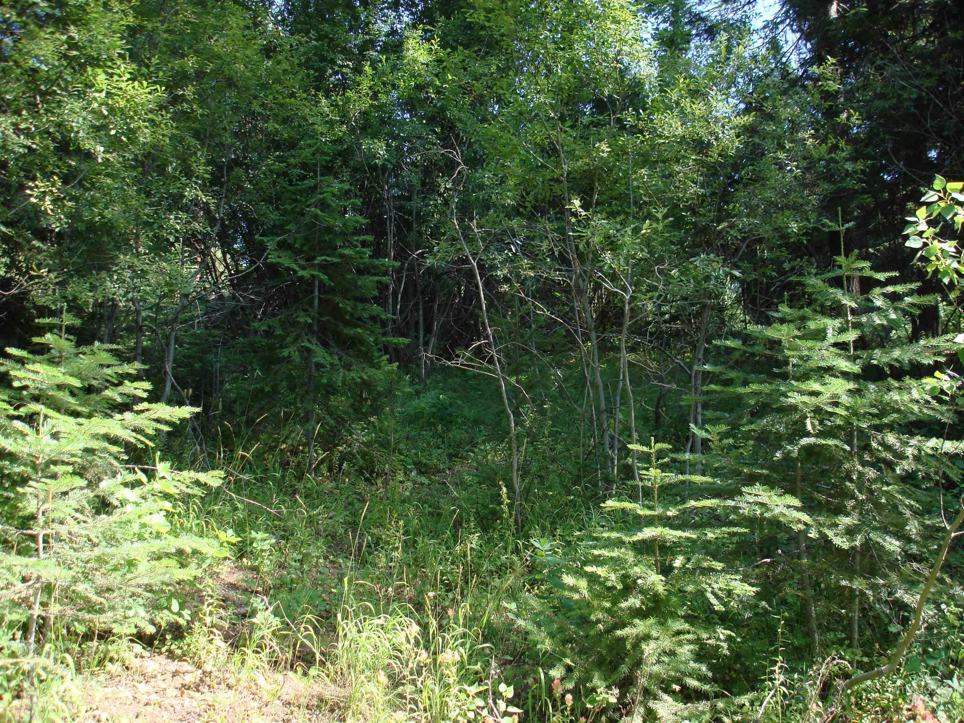 Lot 2 Majestic View Drive Property Photo 9