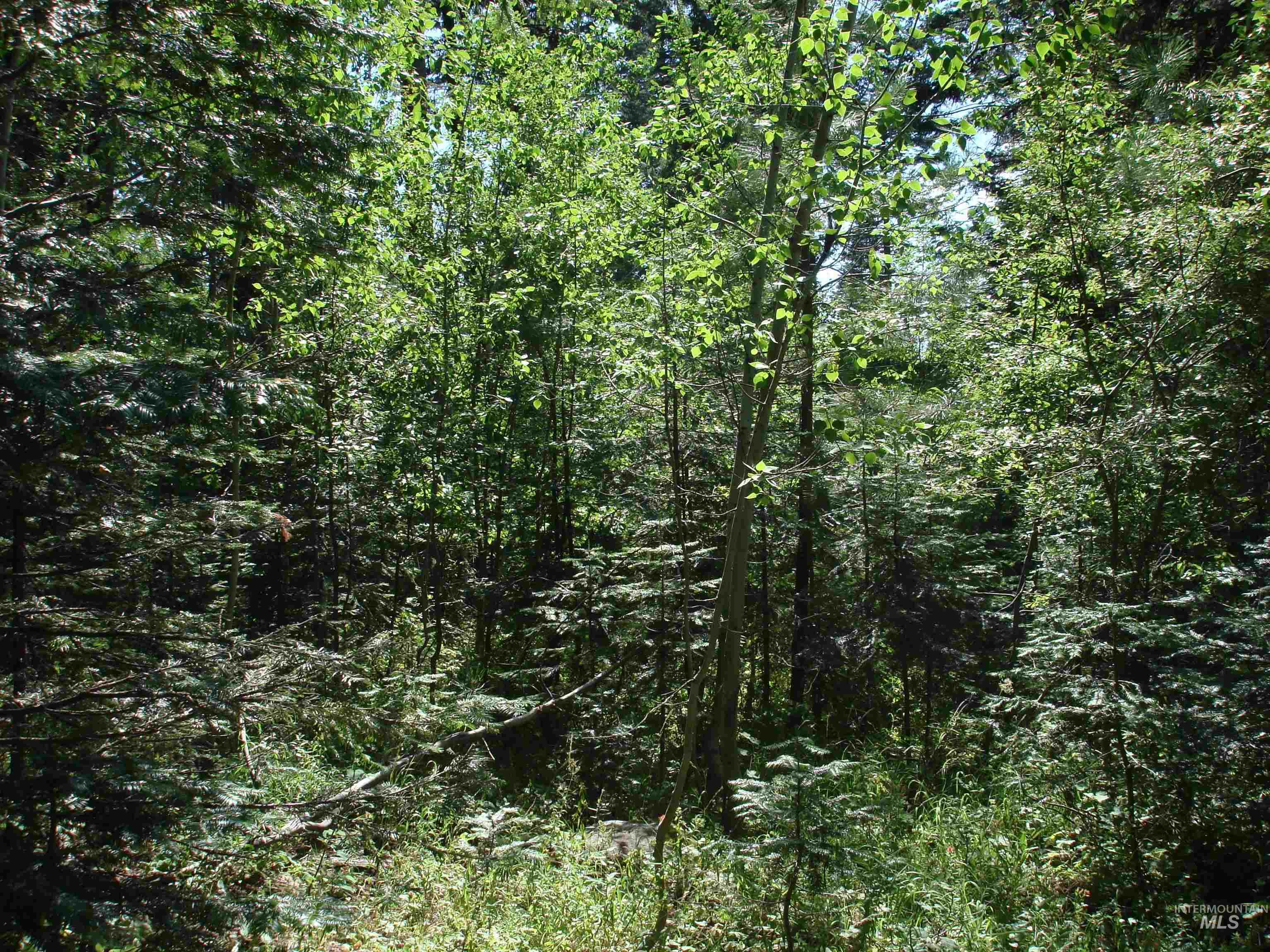 Lot 2 Majestic View Drive Property Photo 10