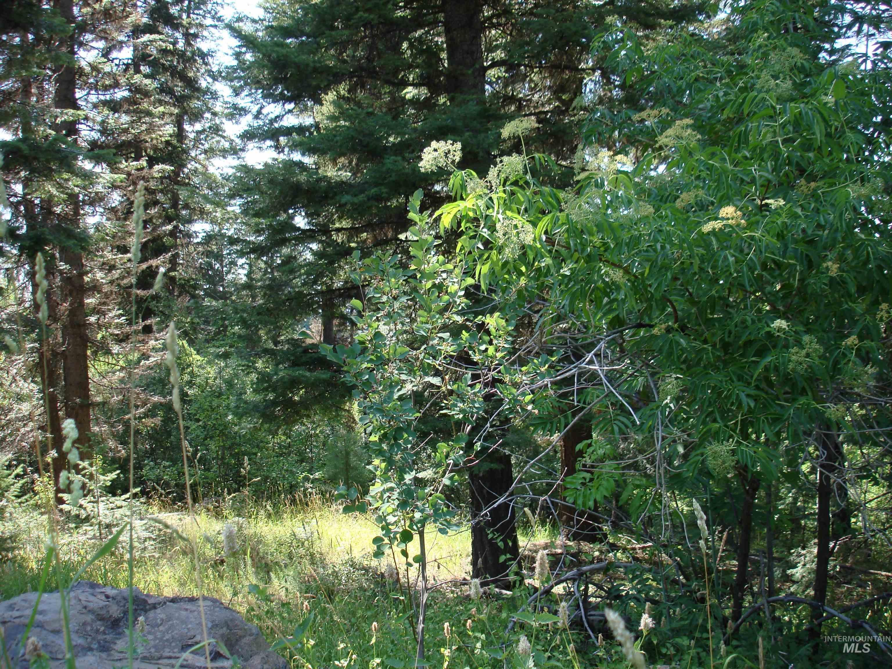 Lot 2 Majestic View Drive Property Photo 13
