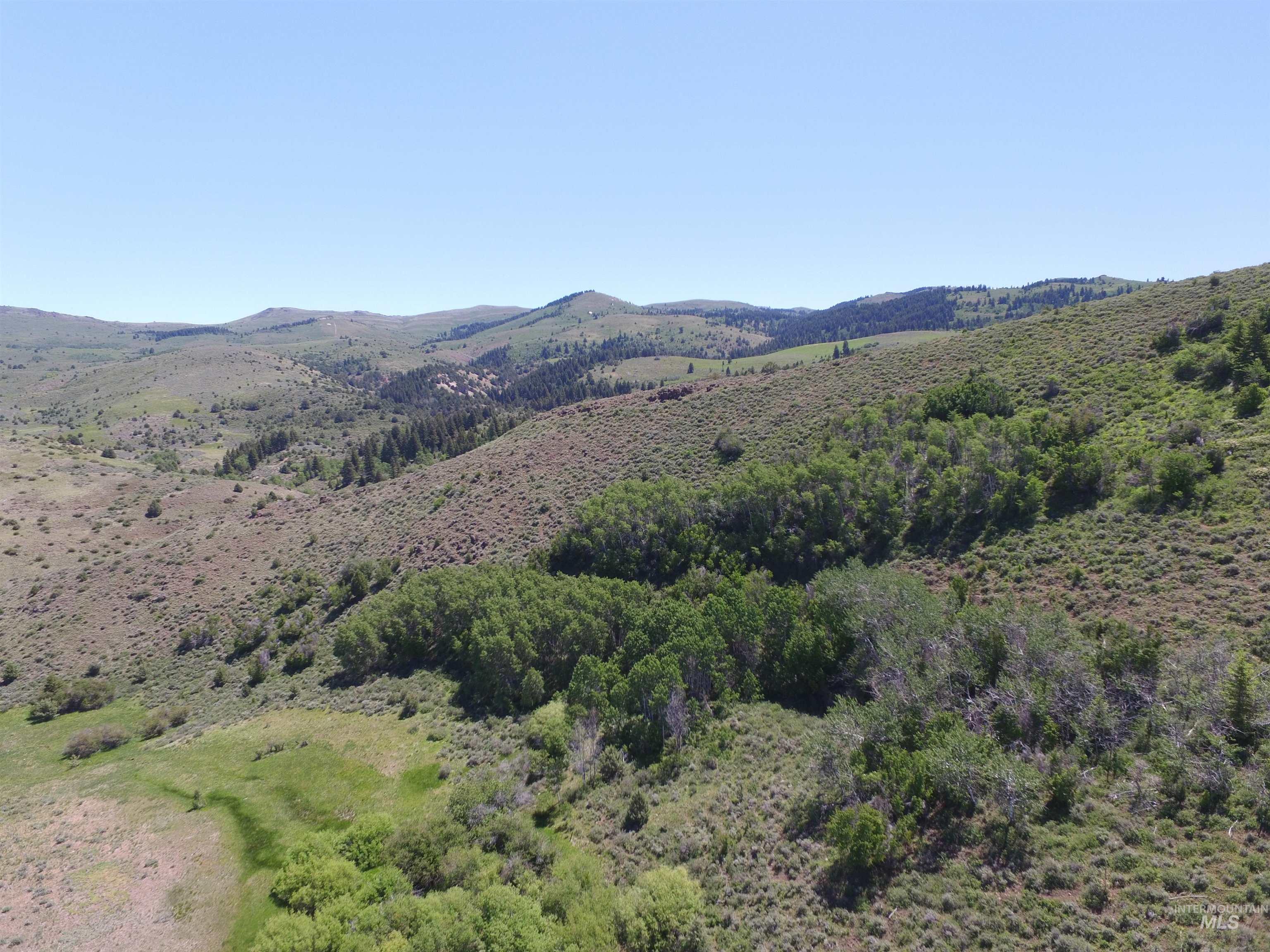2015 Cow Creek Rd. Property Photo 3