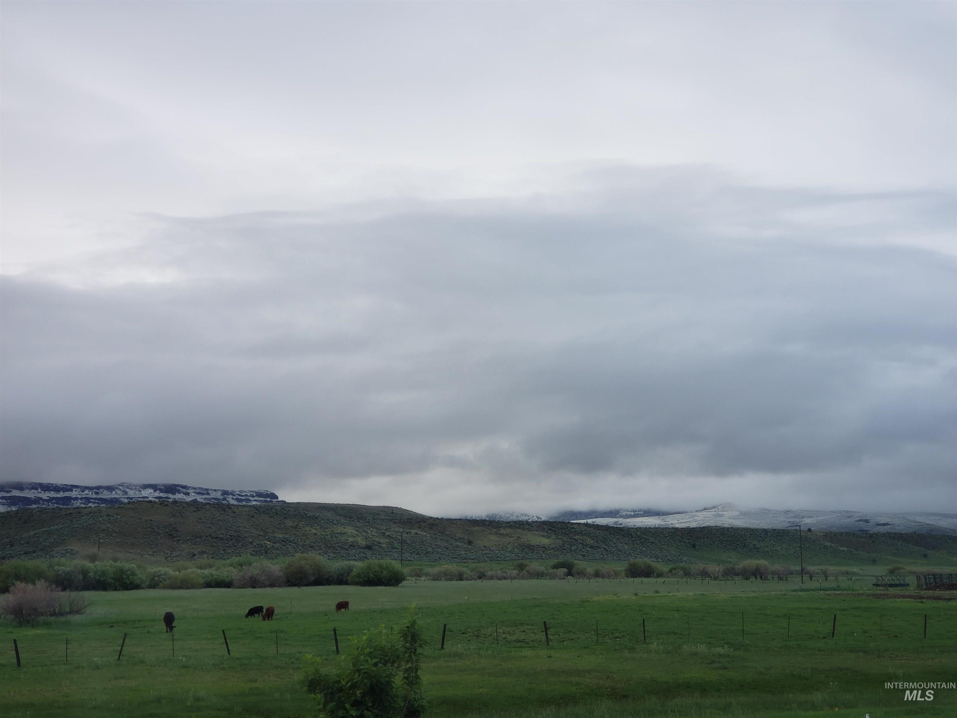 2015 Cow Creek Rd. Property Photo 4