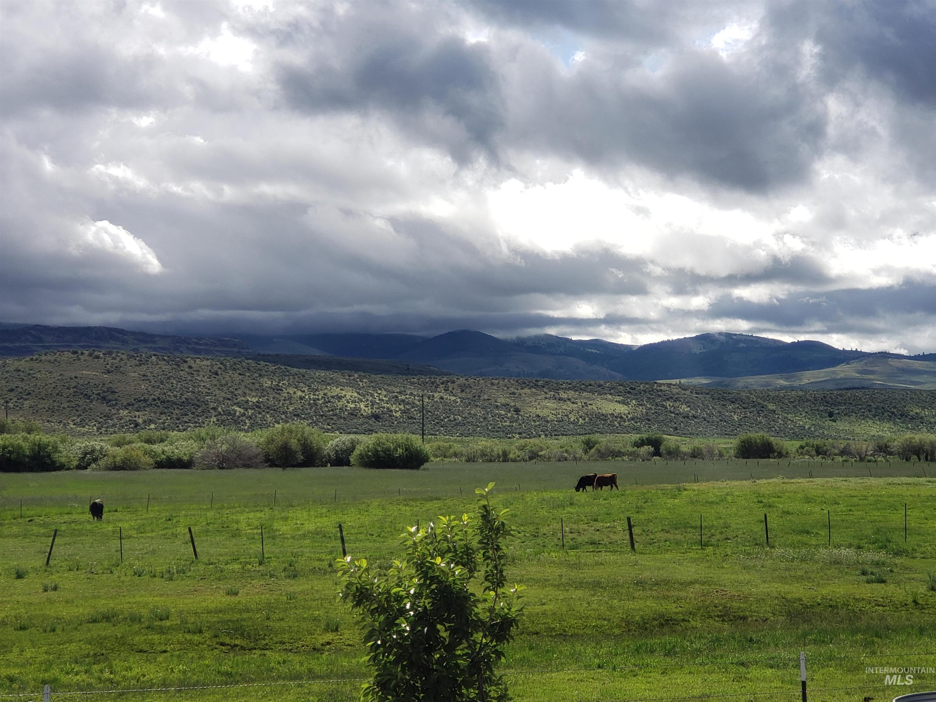 2015 Cow Creek Rd. Property Photo 5