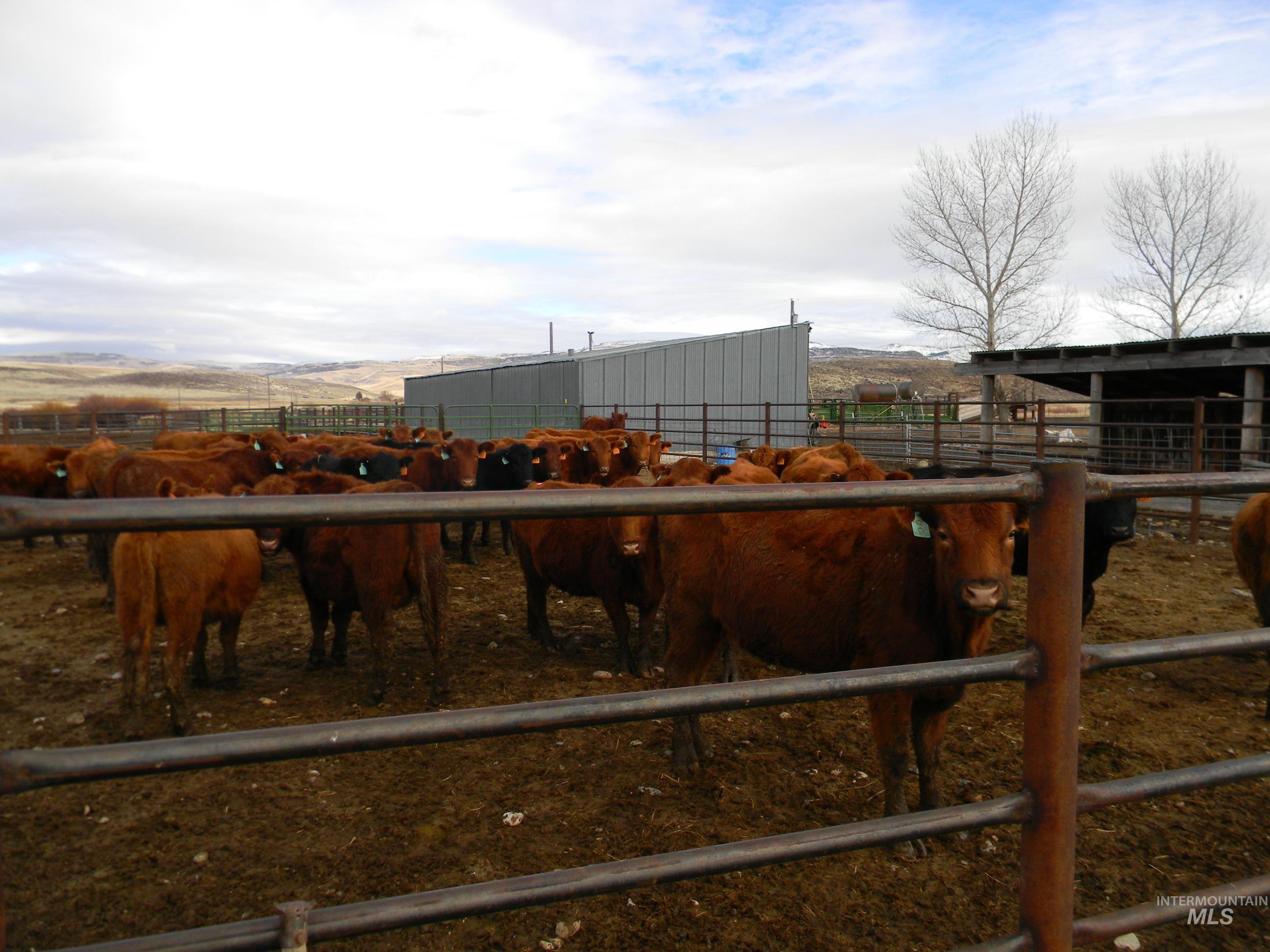2015 Cow Creek Rd. Property Photo 12