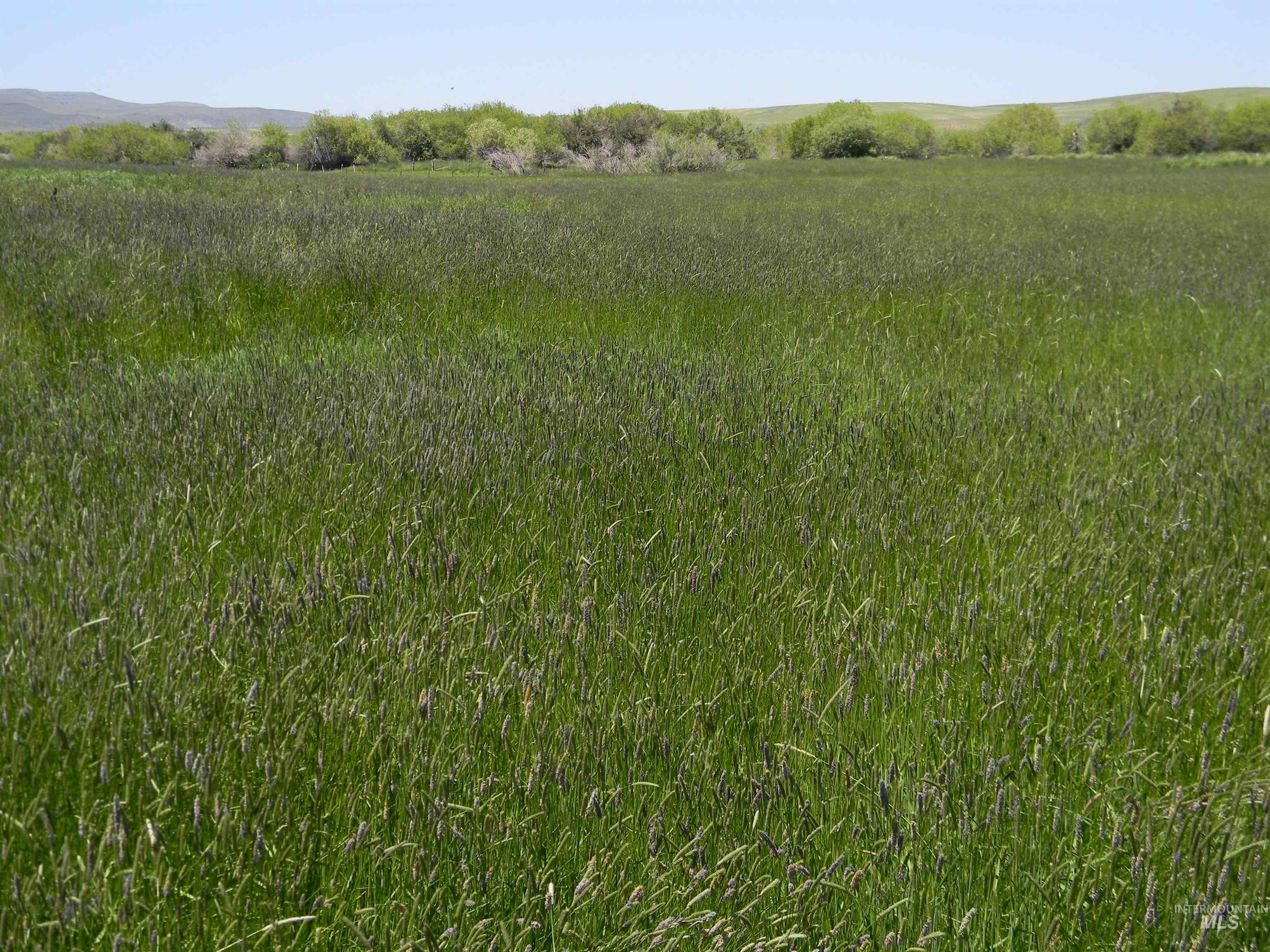 2015 Cow Creek Rd. Property Photo 16