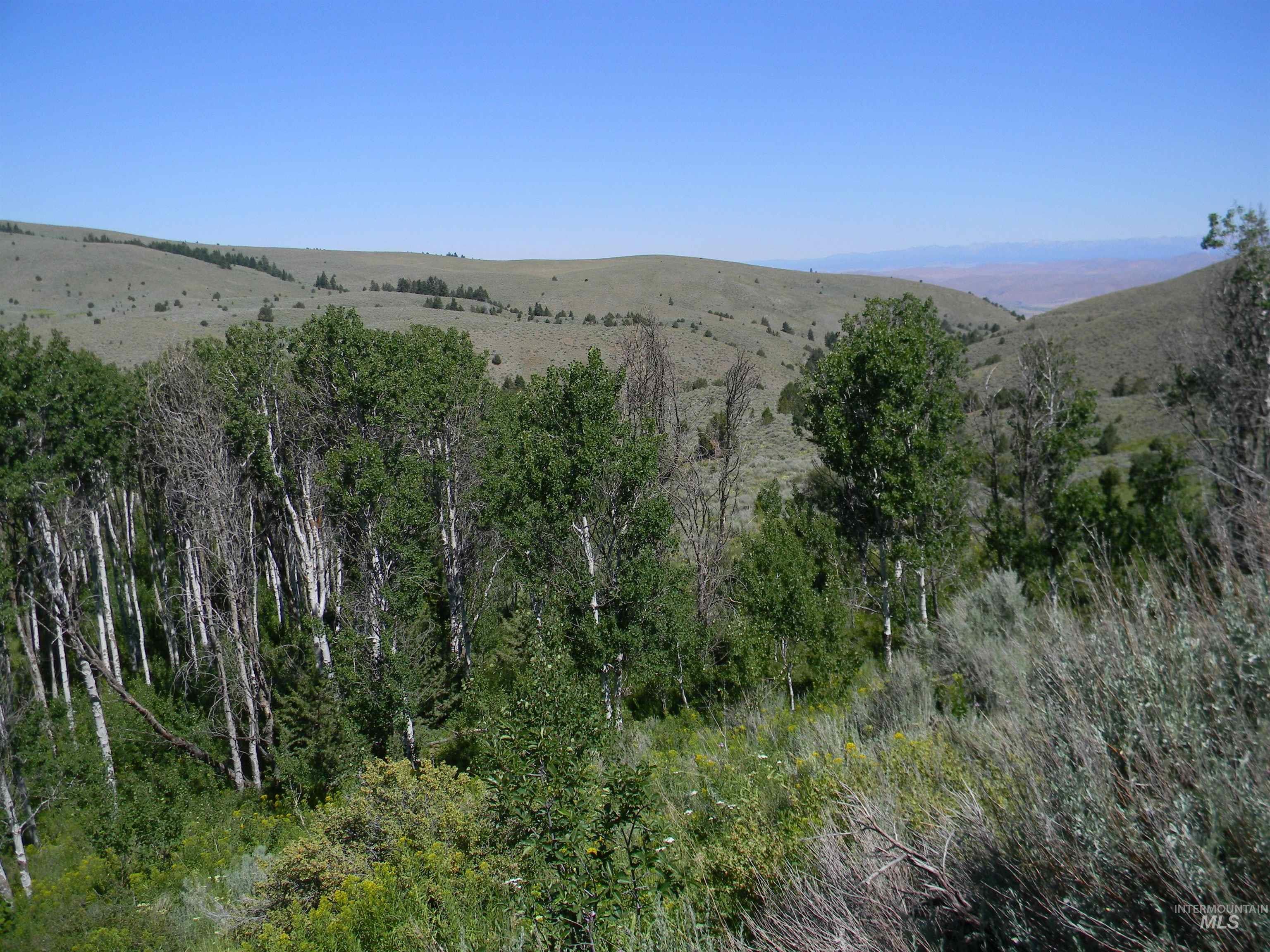 2015 Cow Creek Rd. Property Photo 20
