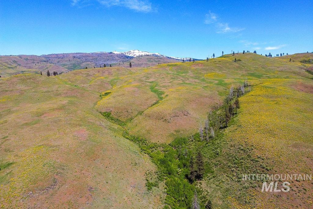 255 Ac Fall Creek Road Property Photo 7