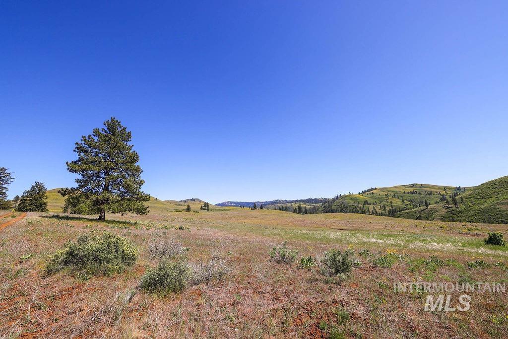 255 Ac Fall Creek Road Property Photo 23