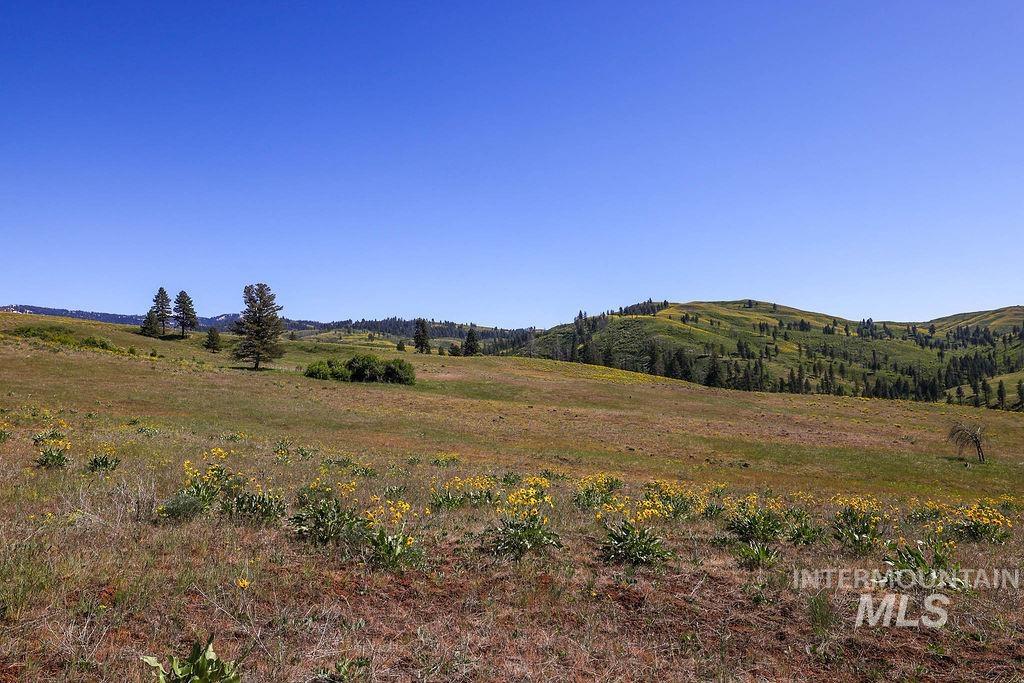 255 Ac Fall Creek Road Property Photo 24