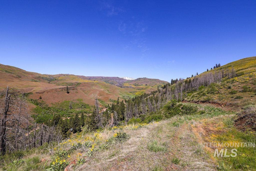 255 Ac Fall Creek Road Property Photo 26