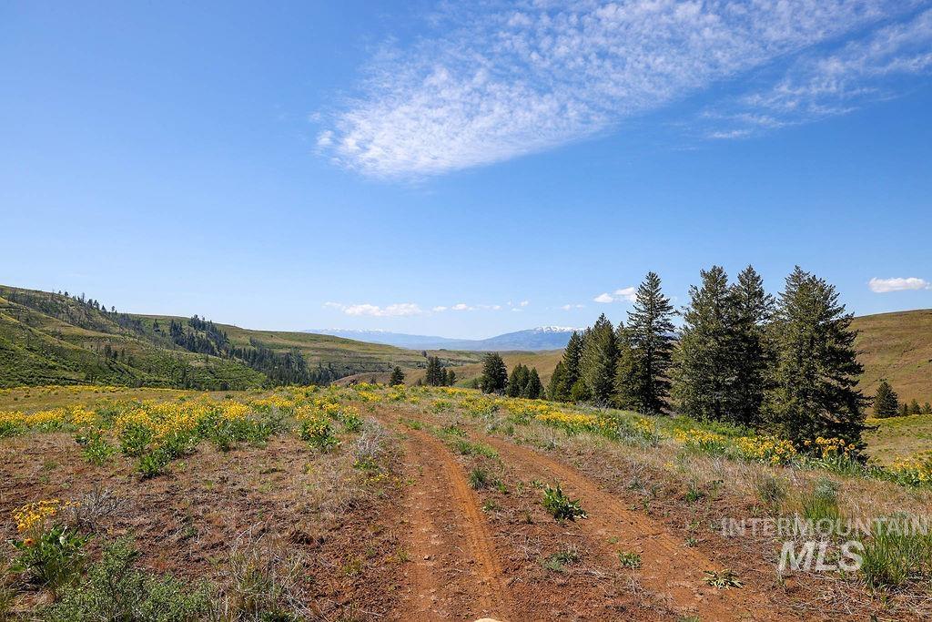 255 Ac Fall Creek Road Property Photo 29