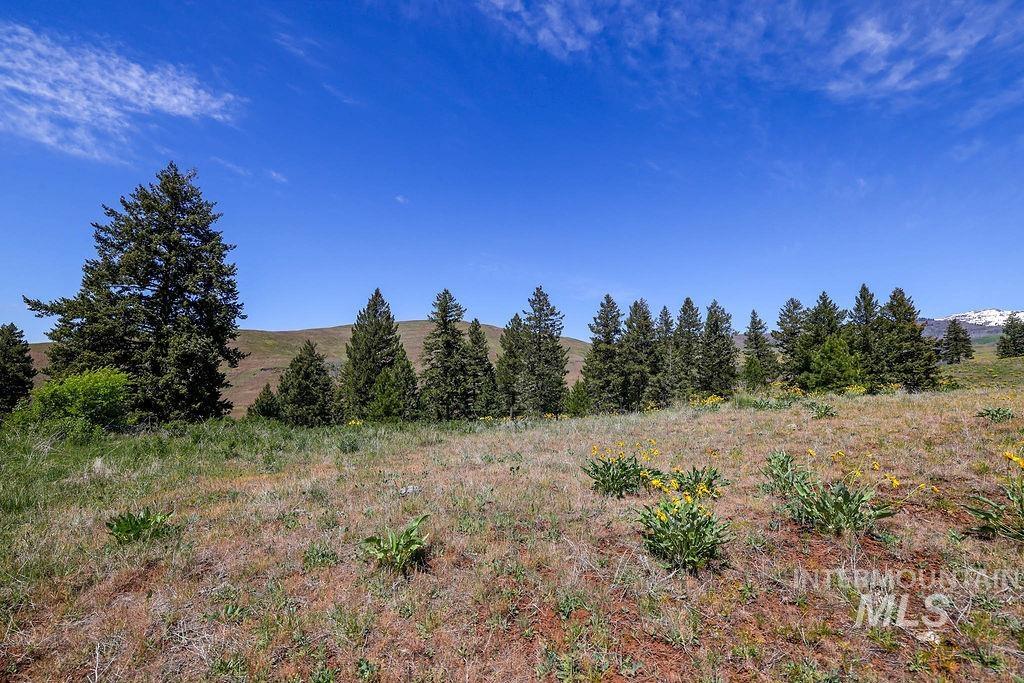255 Ac Fall Creek Road Property Photo 31