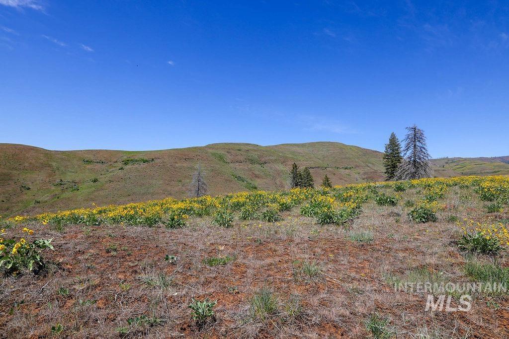 255 Ac Fall Creek Road Property Photo 34