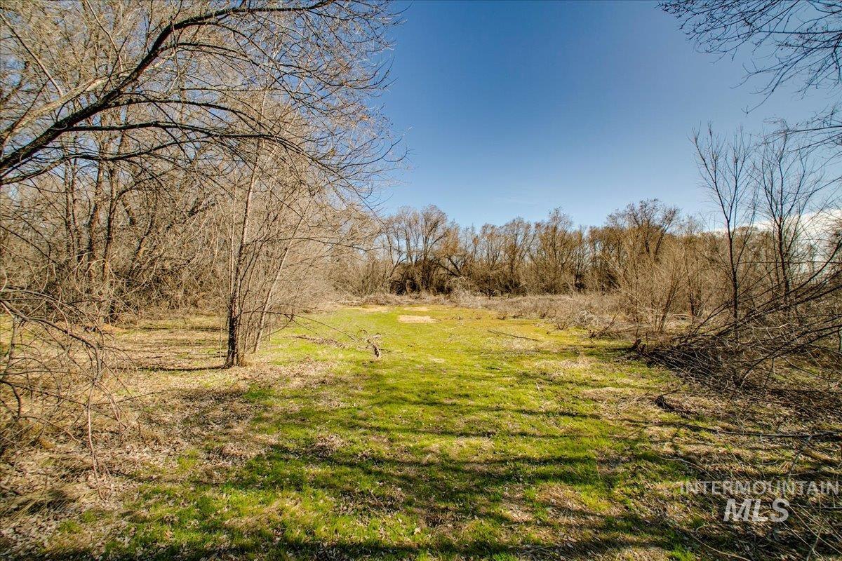 31254 Pitman Lane Property Photo 14
