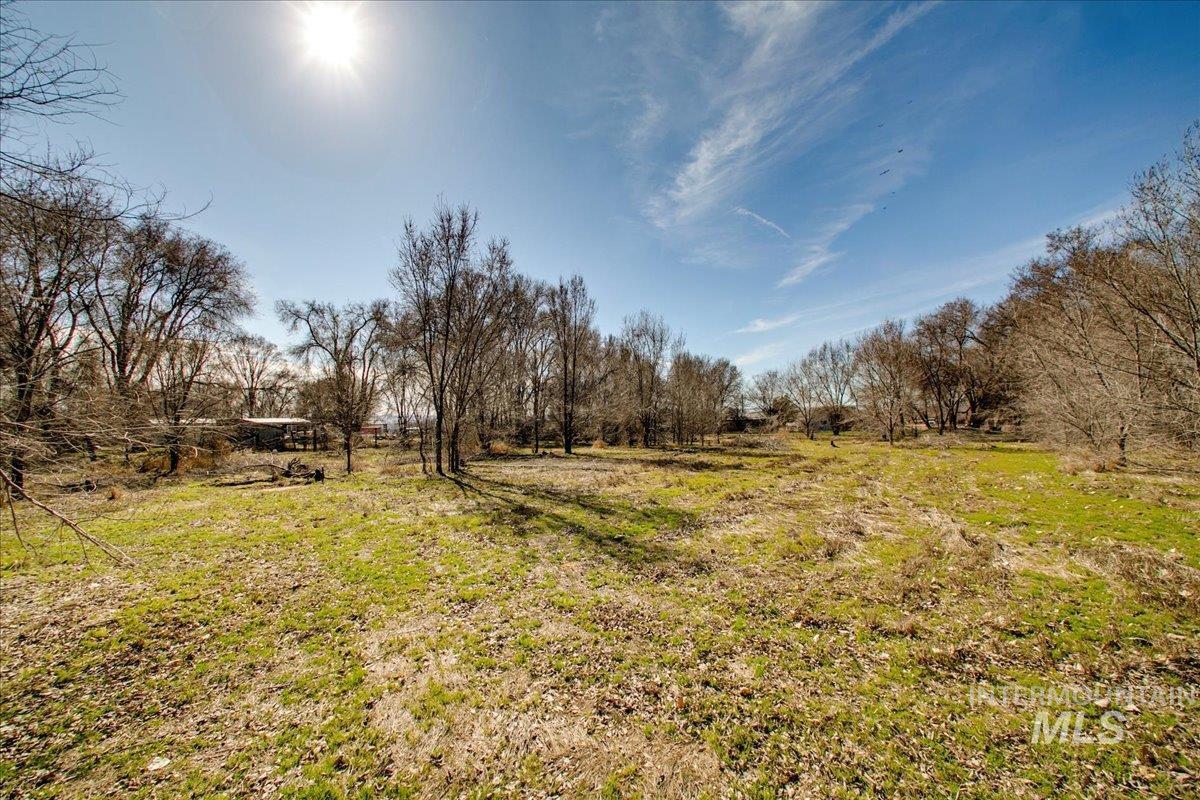 31254 Pitman Lane Property Photo 15