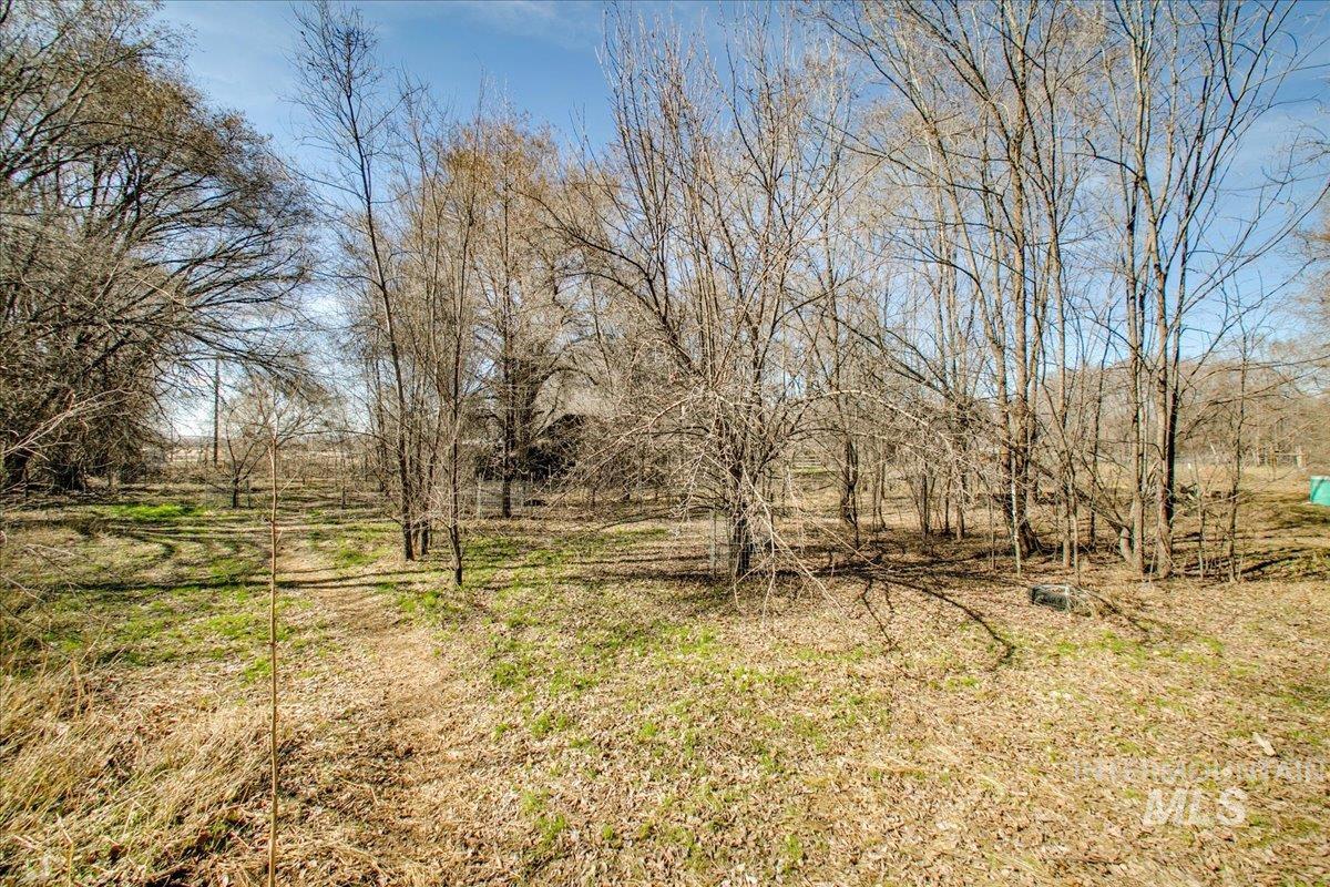 31254 Pitman Lane Property Photo 22