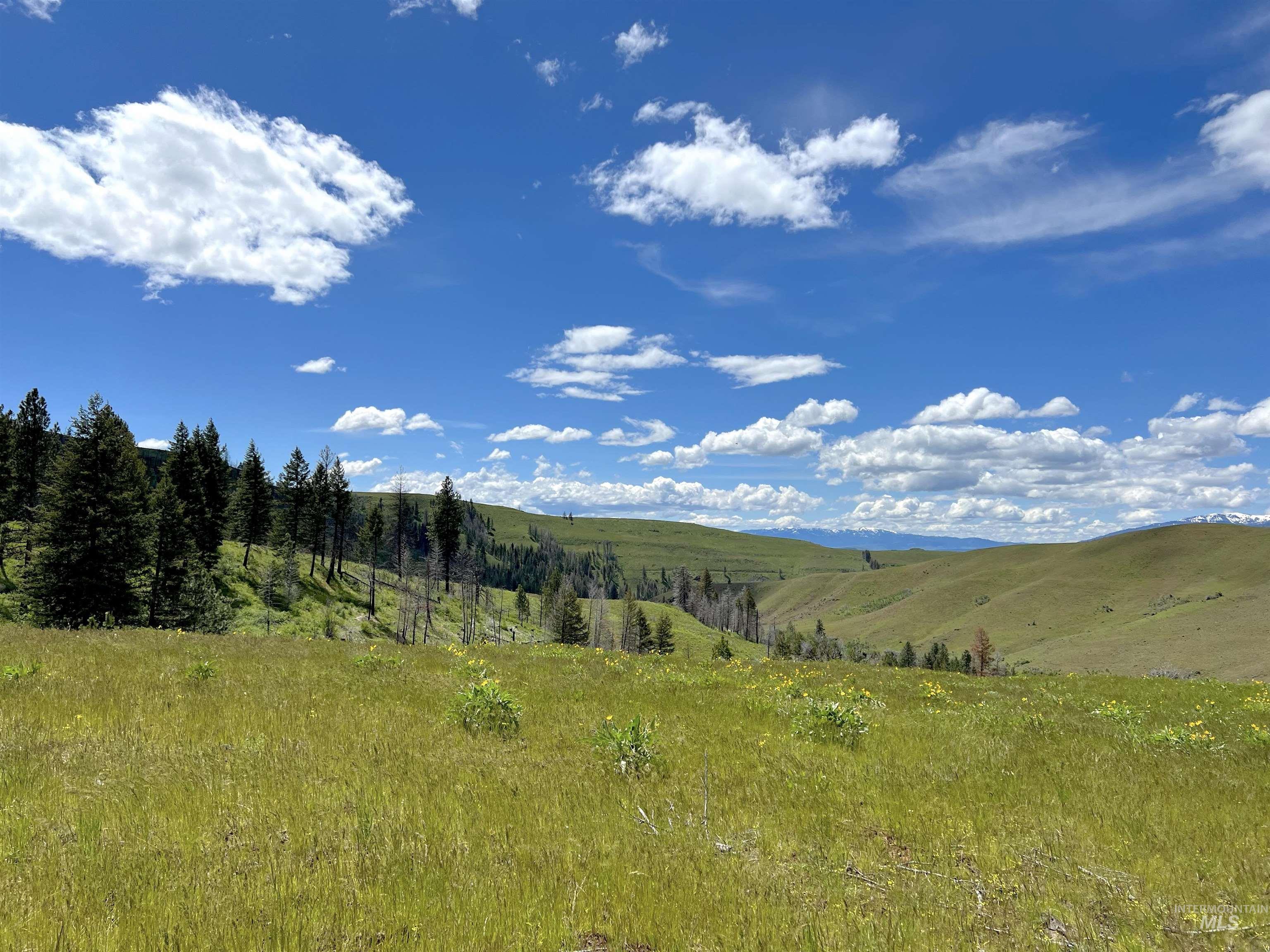 255 Ac Fall Creek Rd Property Photo