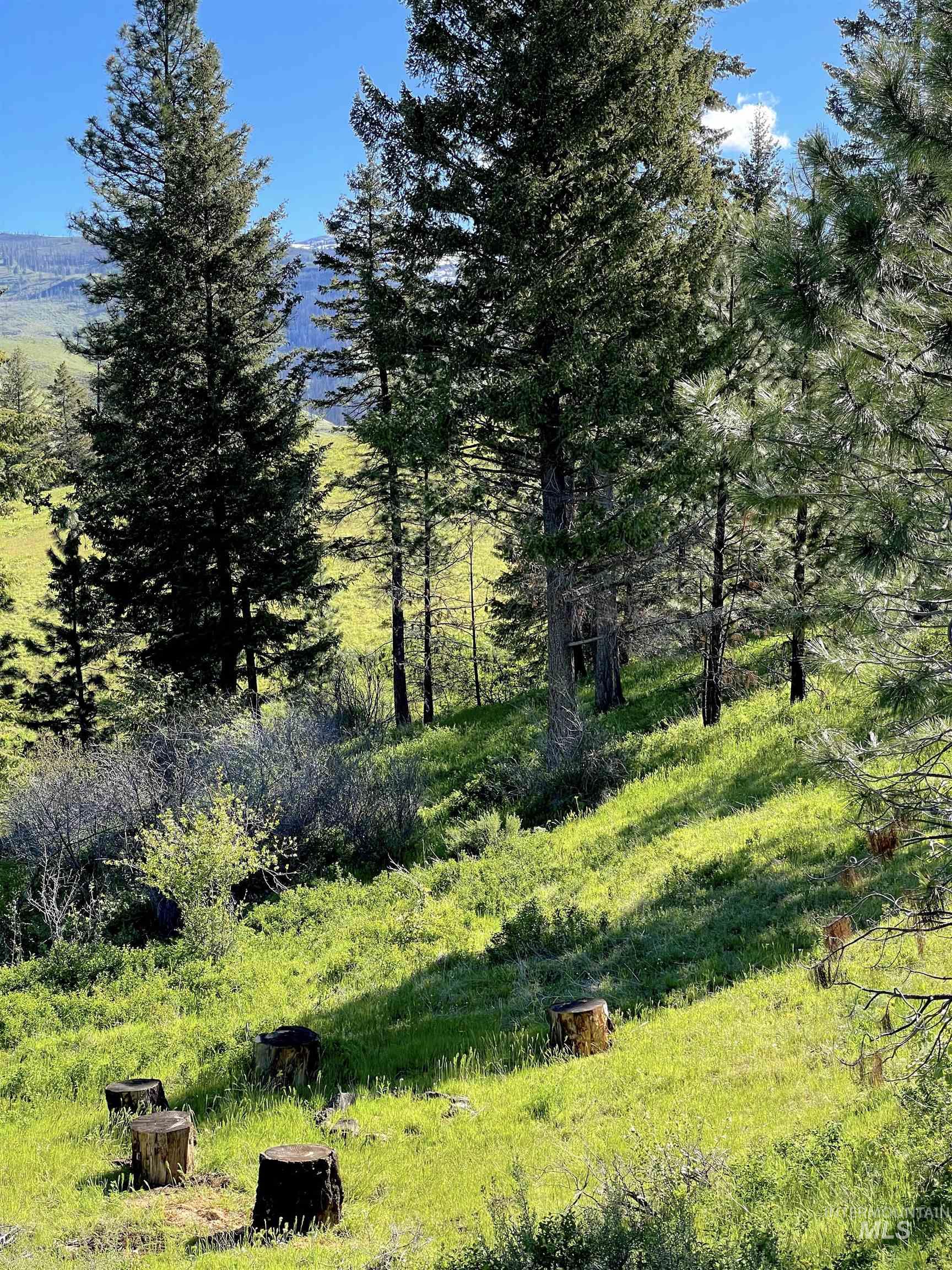 255 Ac Fall Creek Rd Property Photo 5