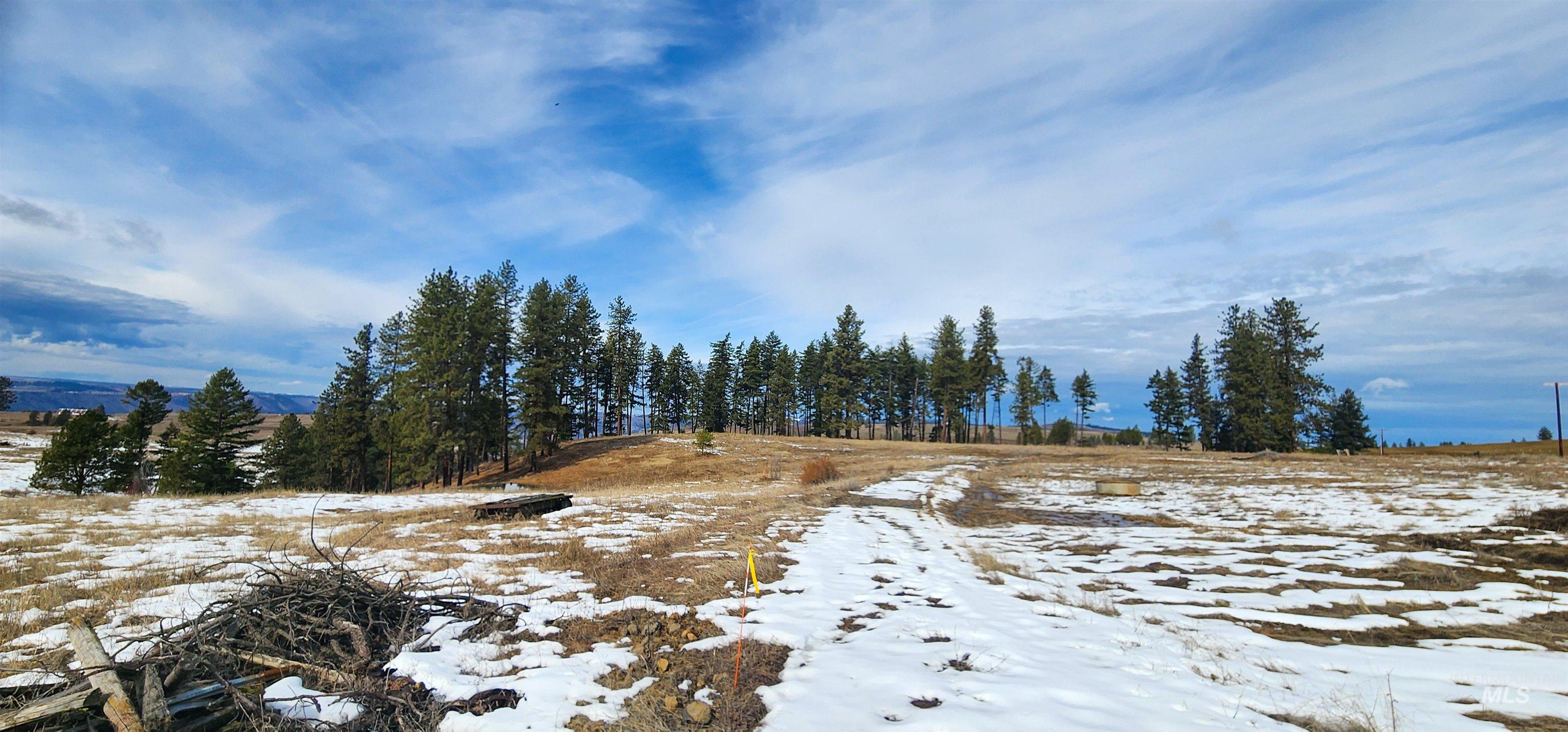 135 Sedona Trail Property Photo 3
