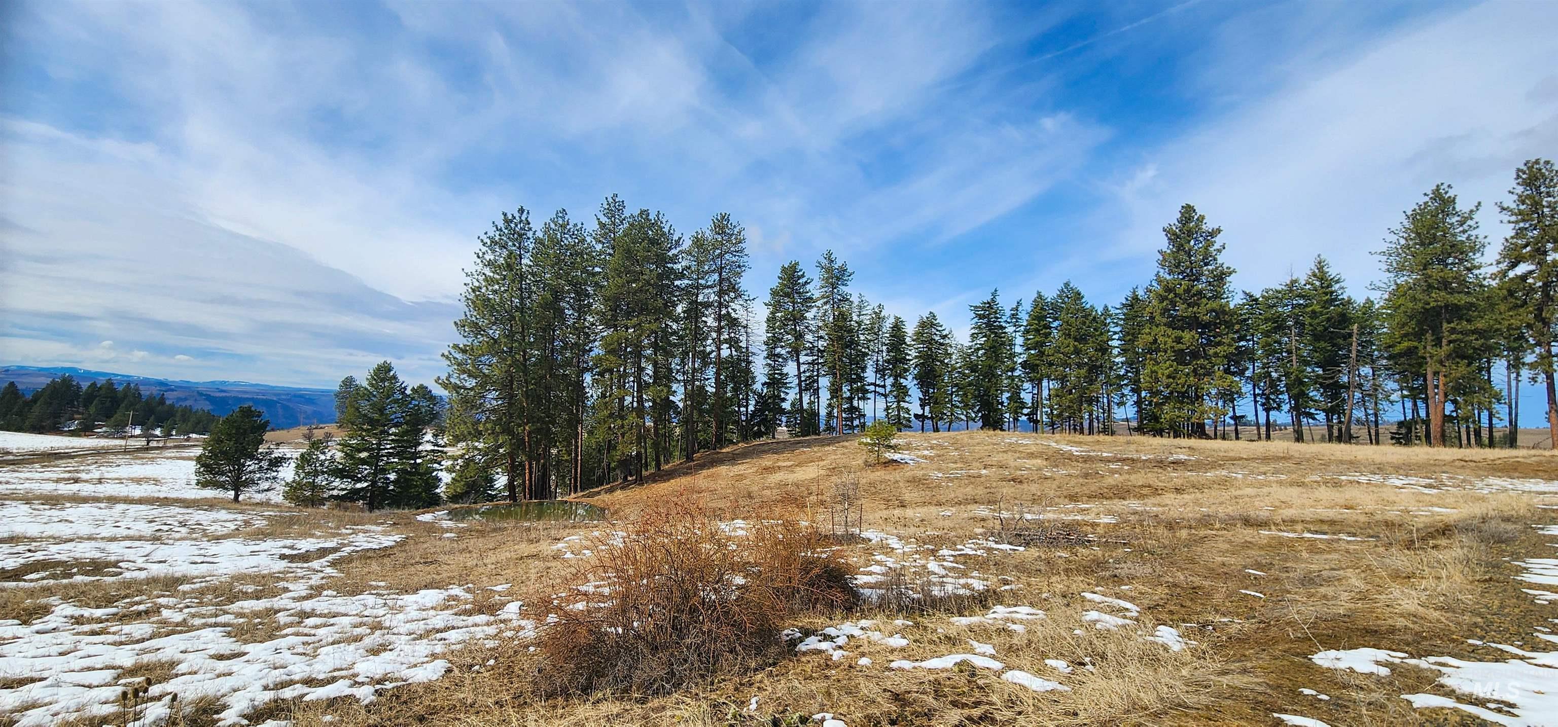 135 Sedona Trail Property Photo 7
