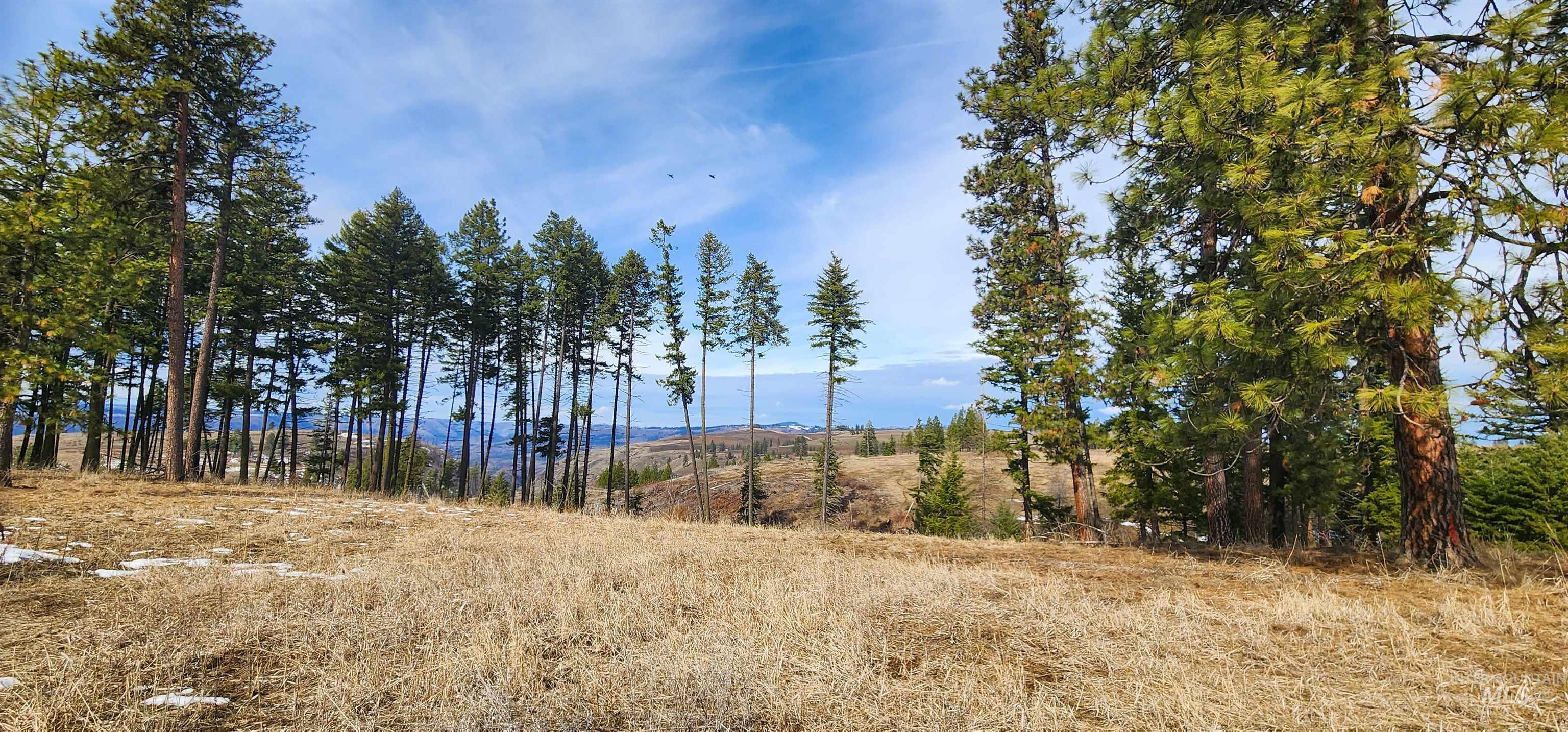 135 Sedona Trail Property Photo 9