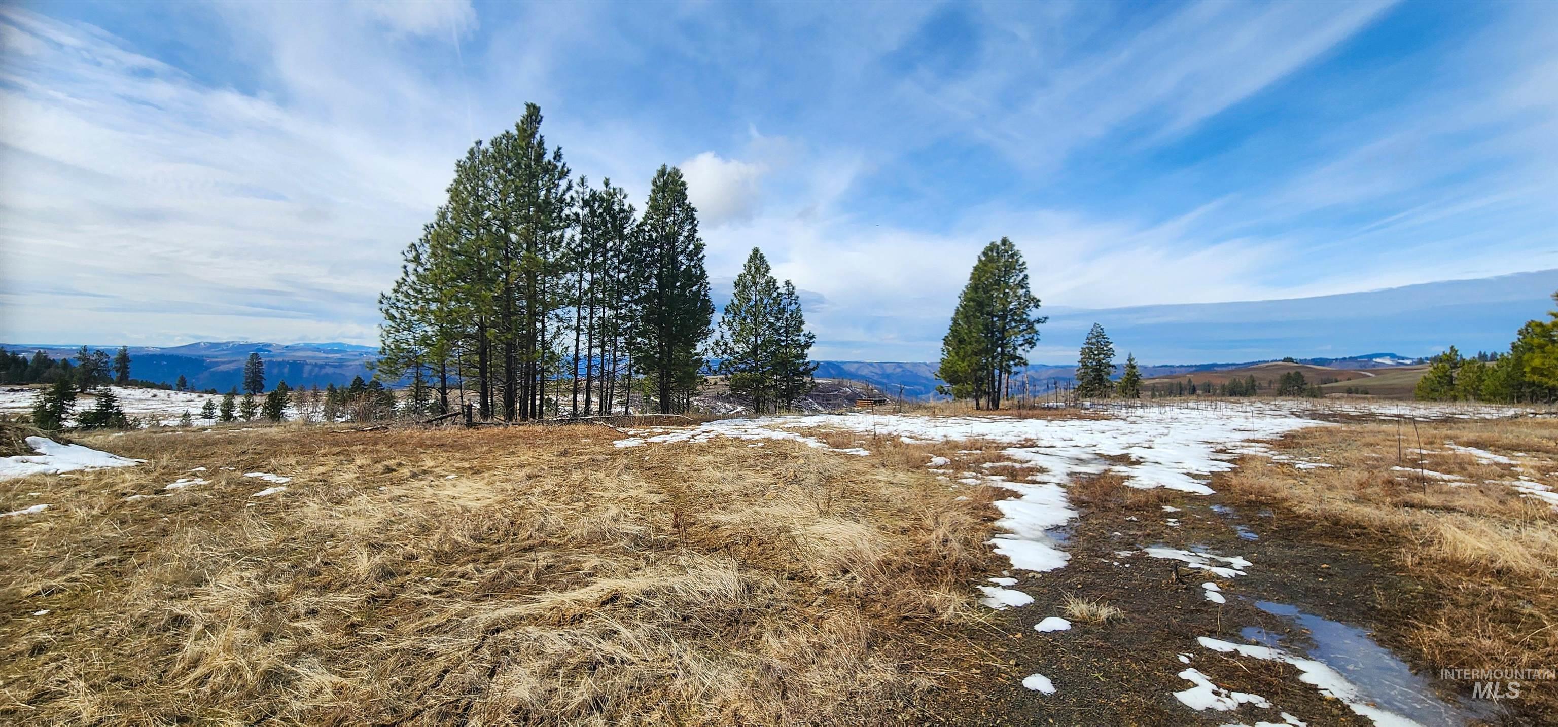 135 Sedona Trail Property Photo 12