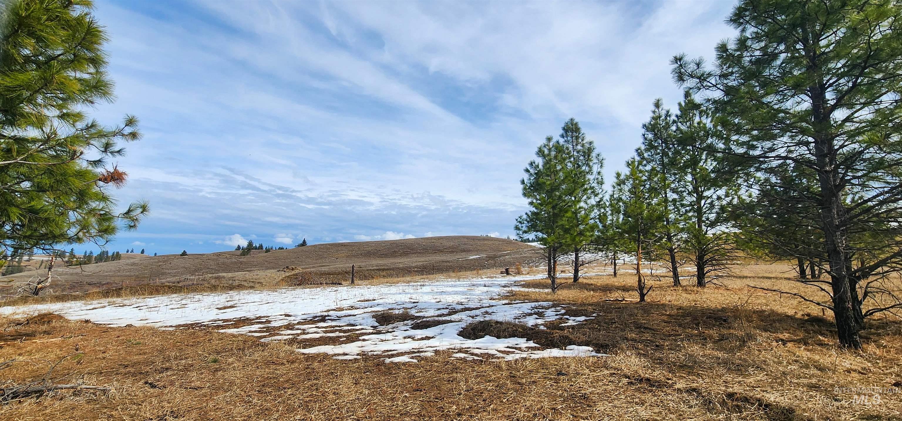 135 Sedona Trail Property Photo 13