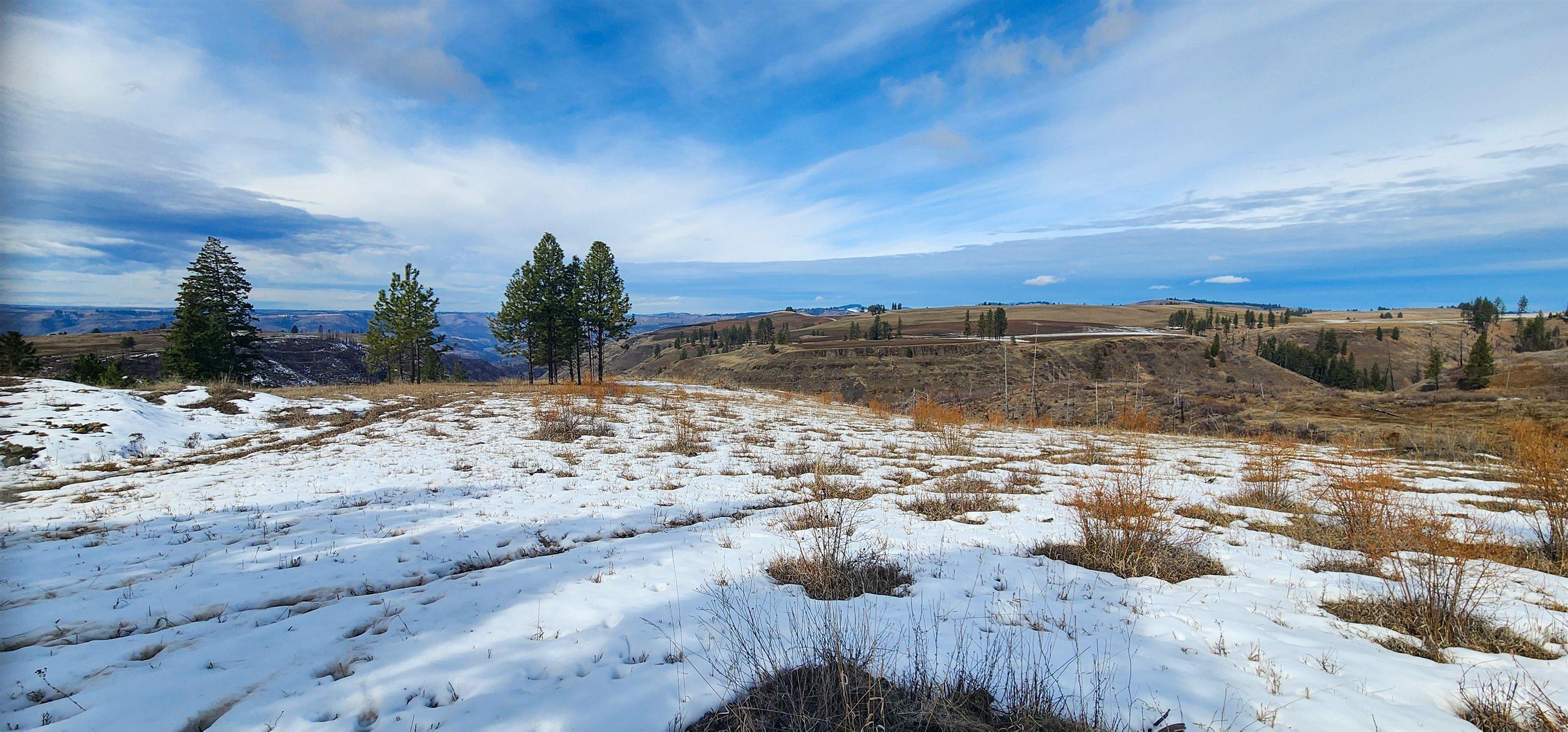 135 Sedona Trail Property Photo 15