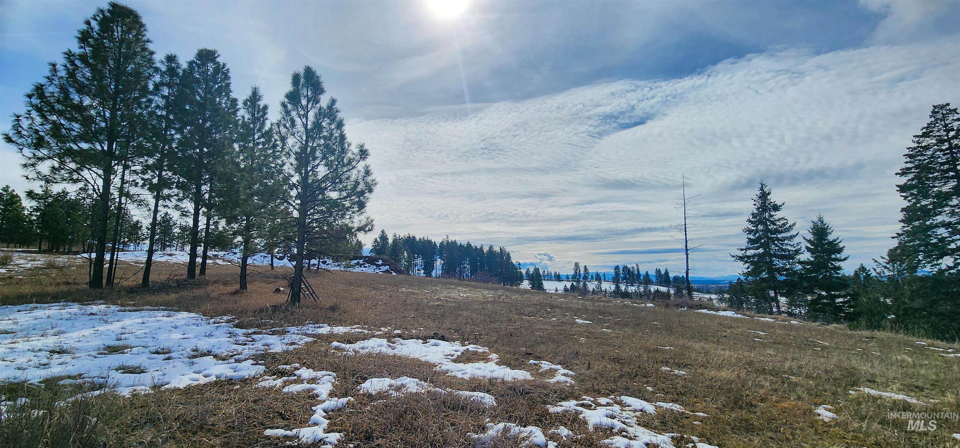 135 Sedona Trail Property Photo 18