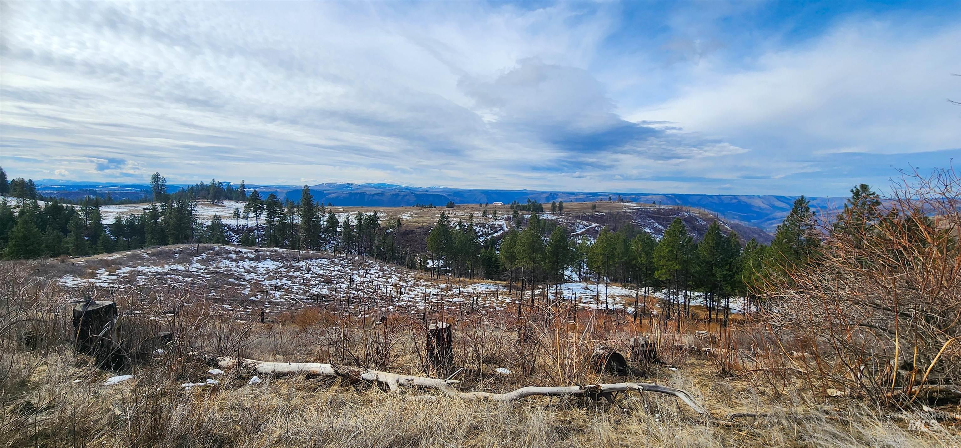 135 Sedona Trail Property Photo 19