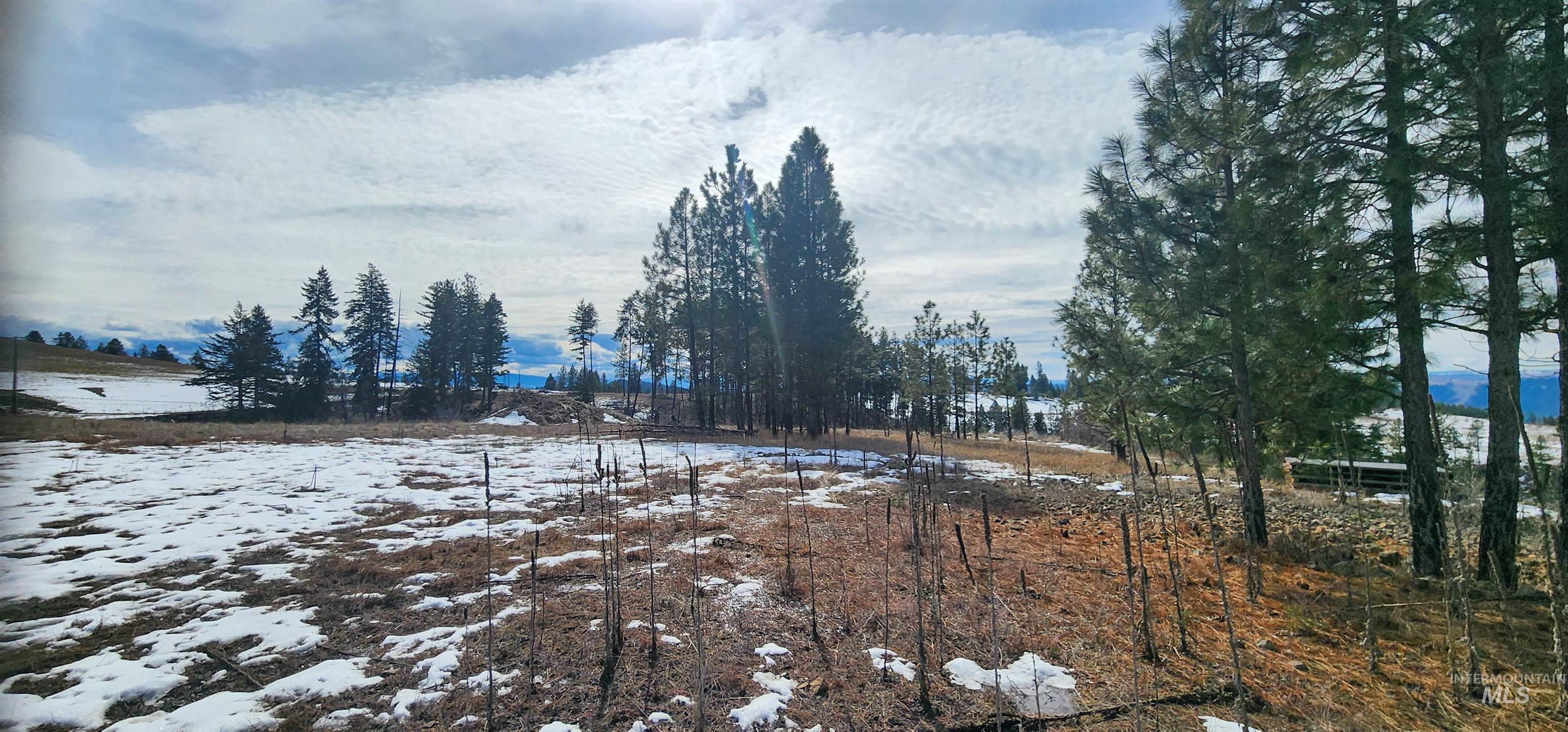135 Sedona Trail Property Photo 20