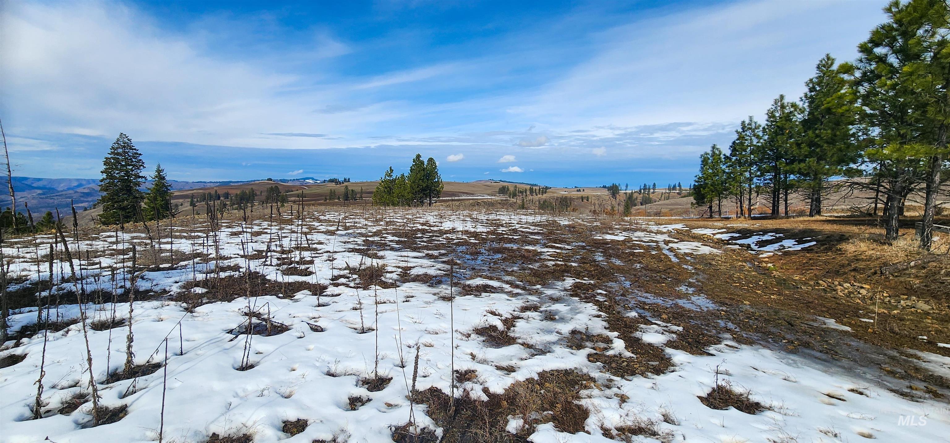 135 Sedona Trail Property Photo 21