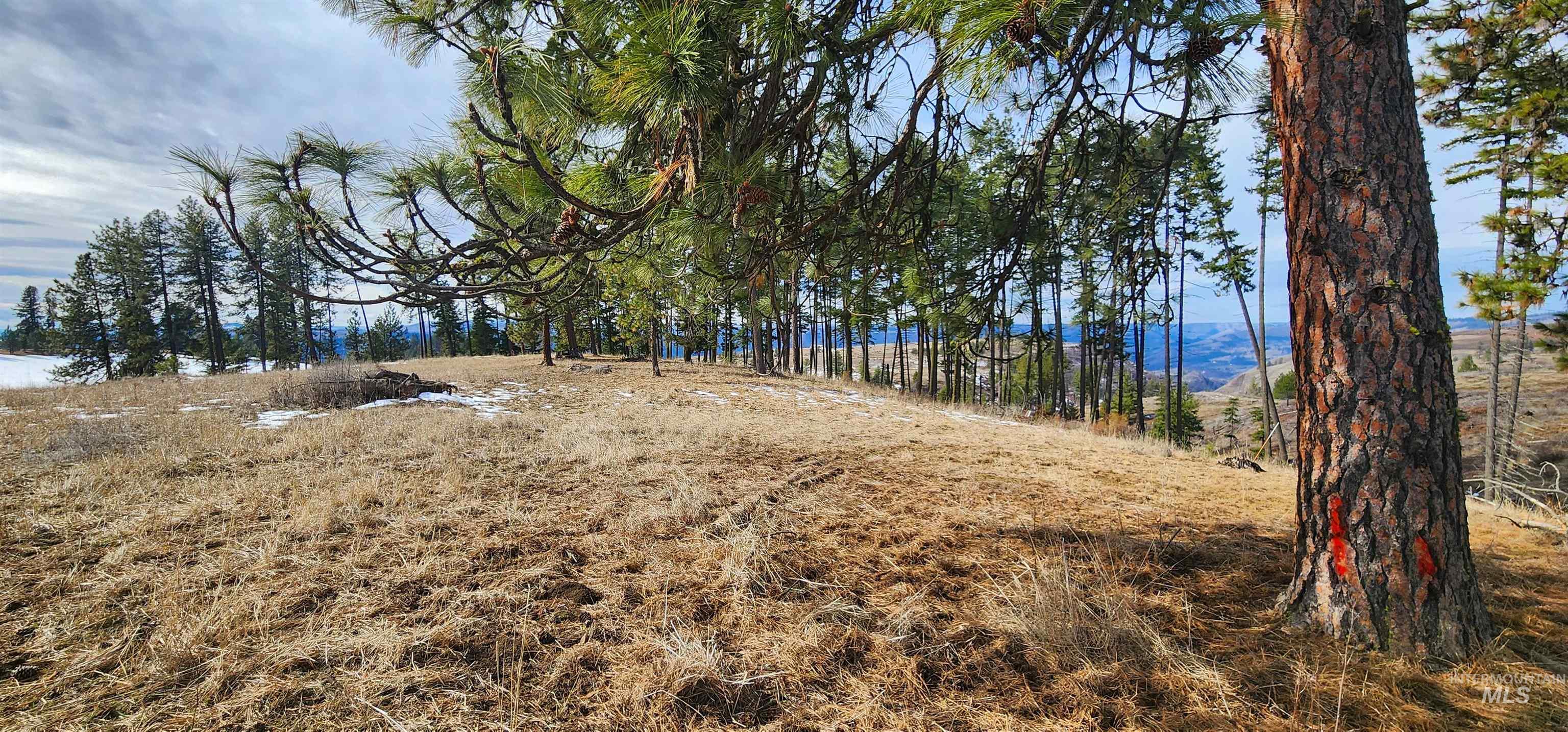 135 Sedona Trail Property Photo 24