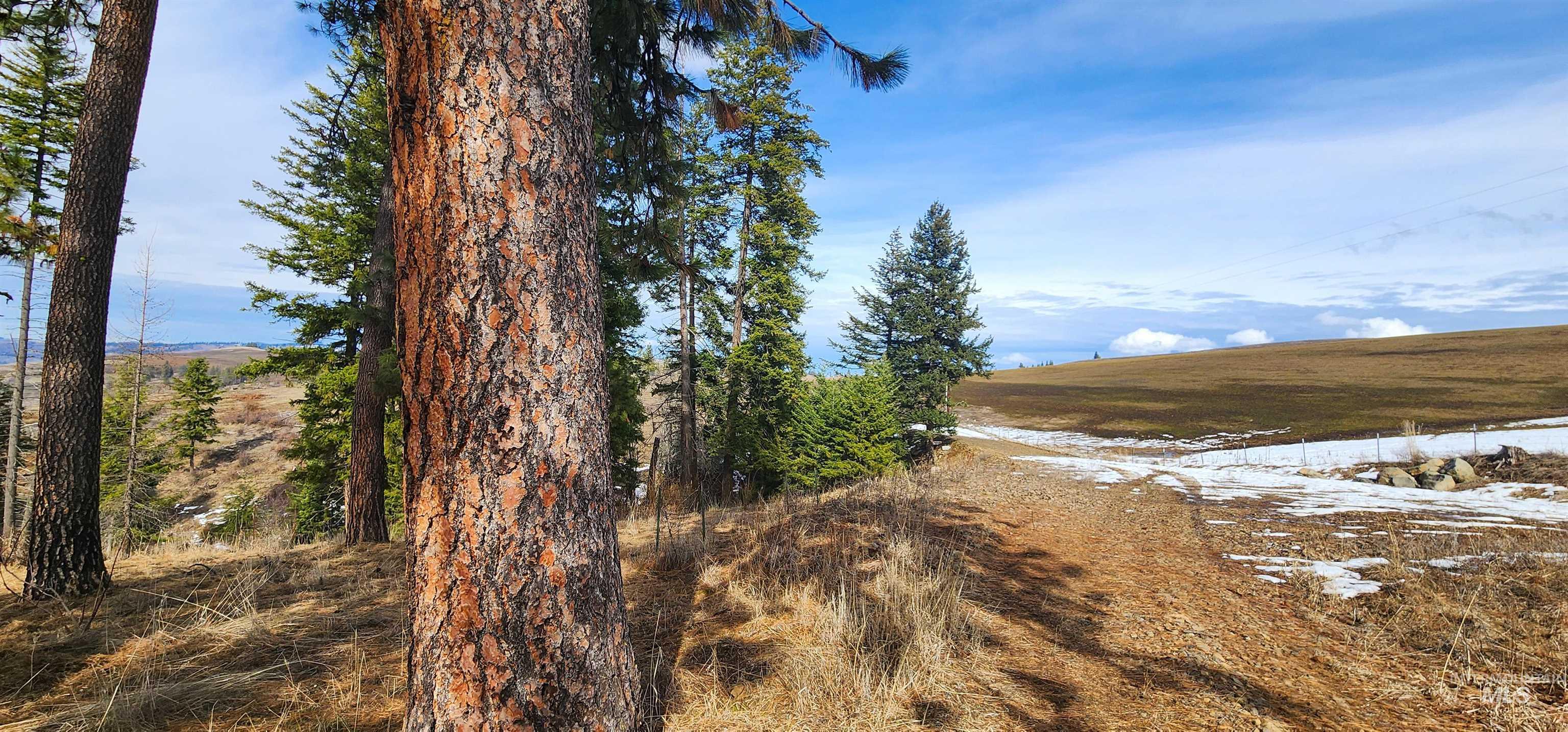 135 Sedona Trail Property Photo 25