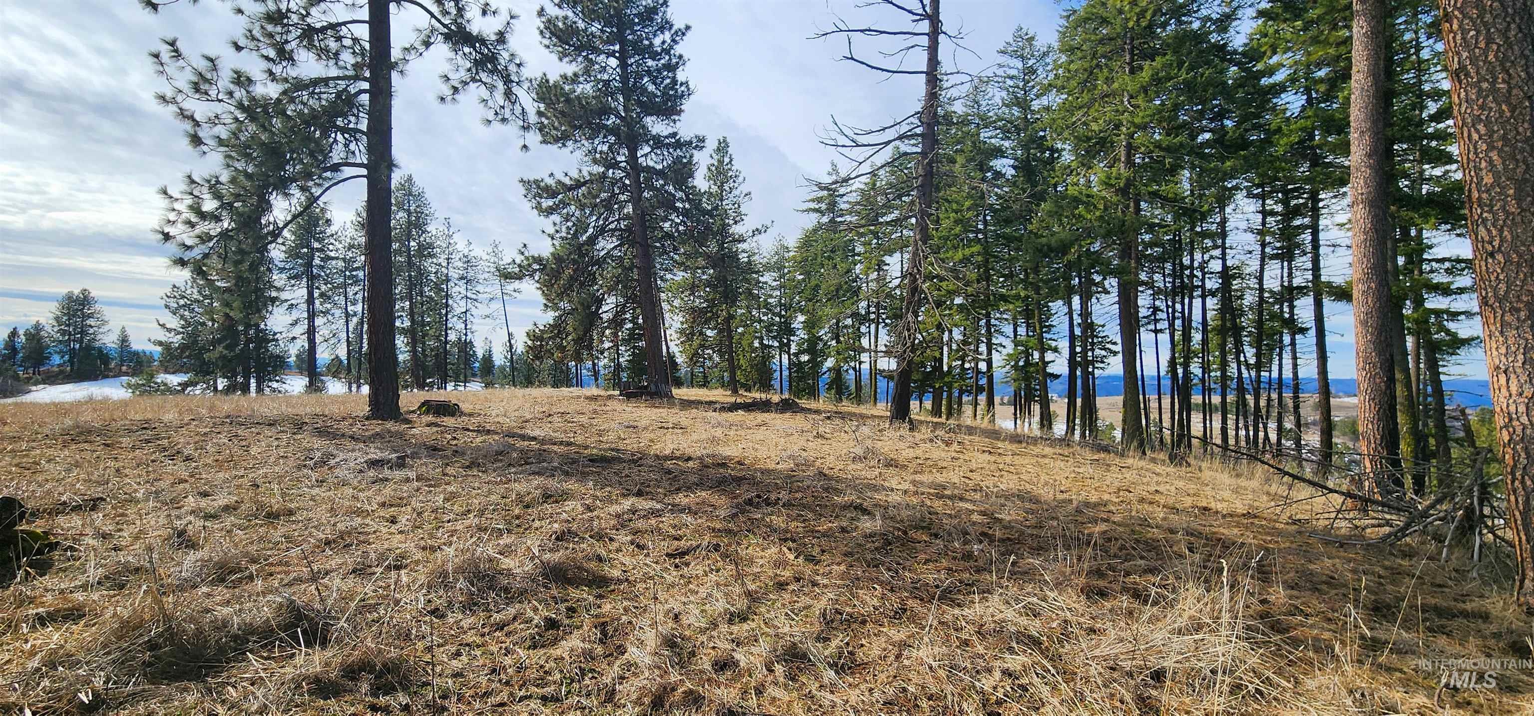 135 Sedona Trail Property Photo 33