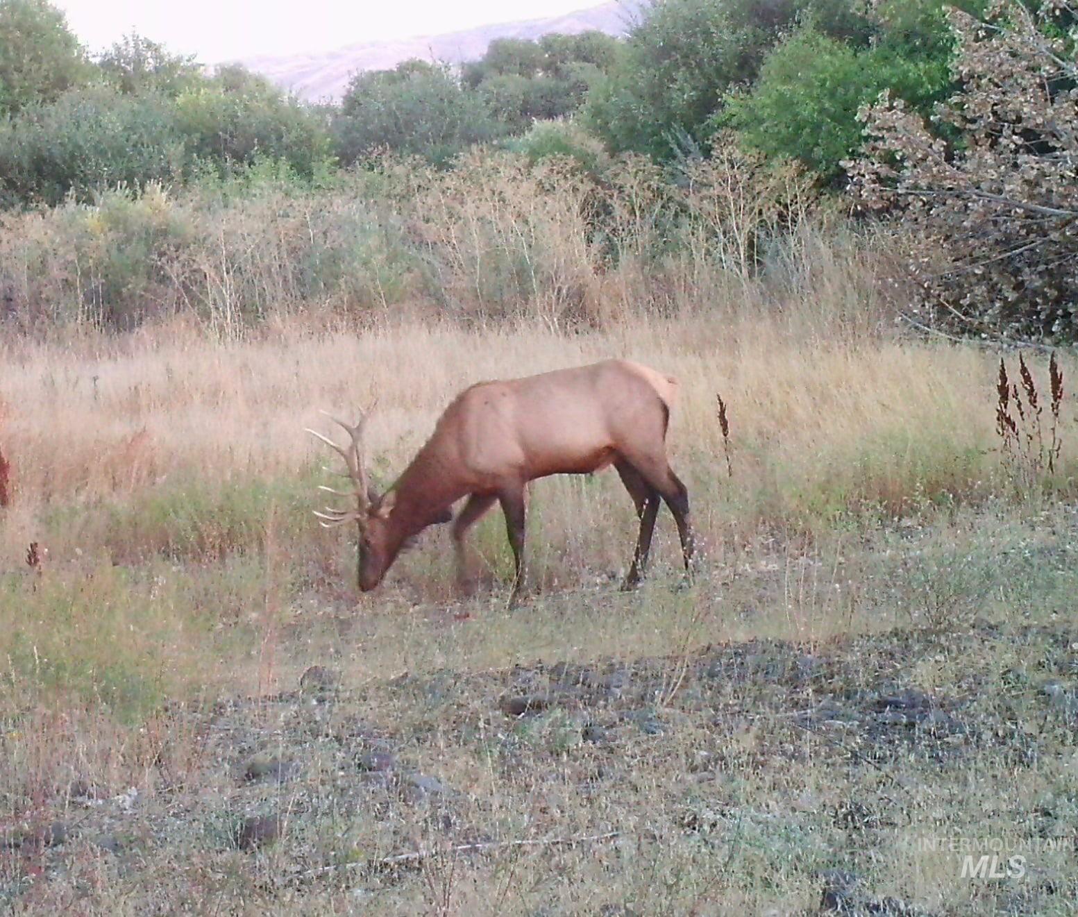 2117 Weiser River Road Property Photo 49