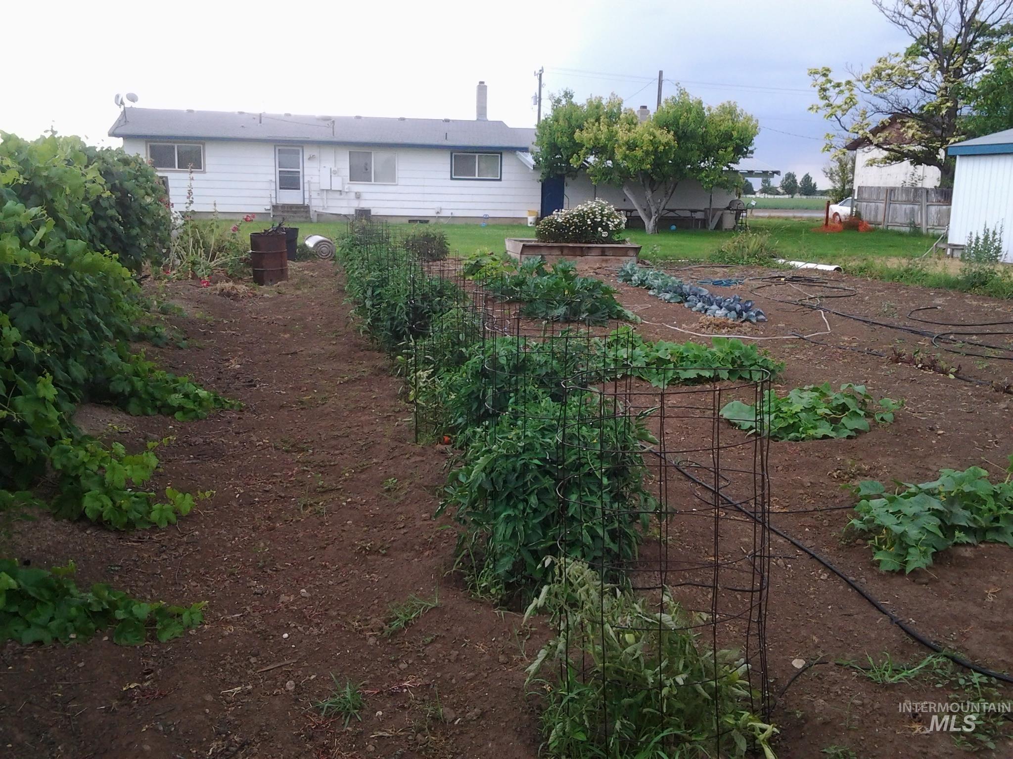 17050 Midland Blvd Property Photo 33