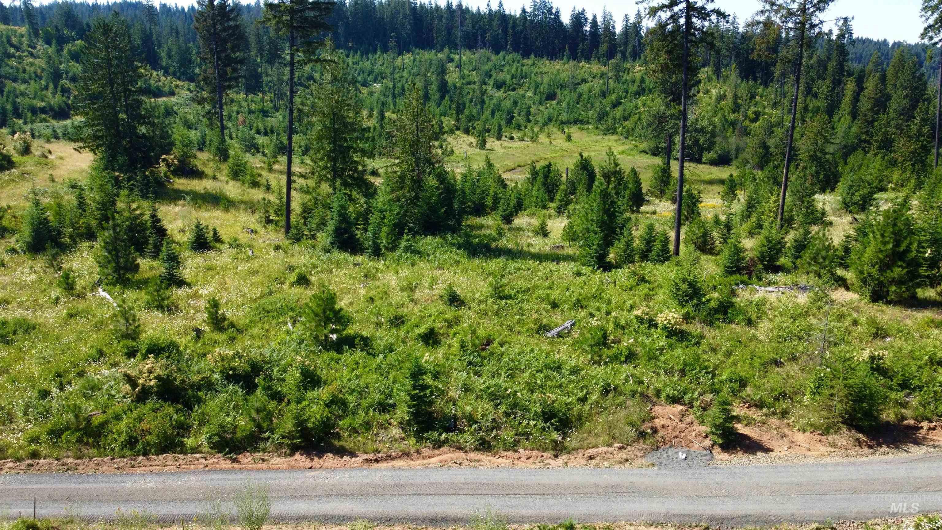 Tbd Parcel 8 Peaceful Valley Road Property Photo