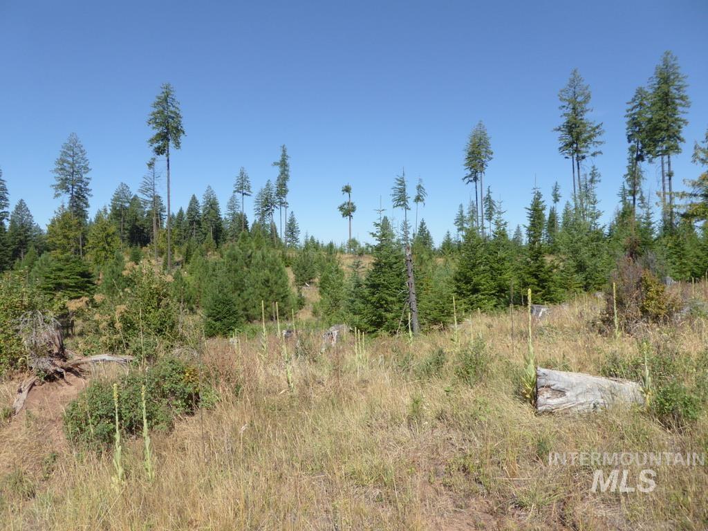 Tbd Parcel 8 Peaceful Valley Road Property Photo 3