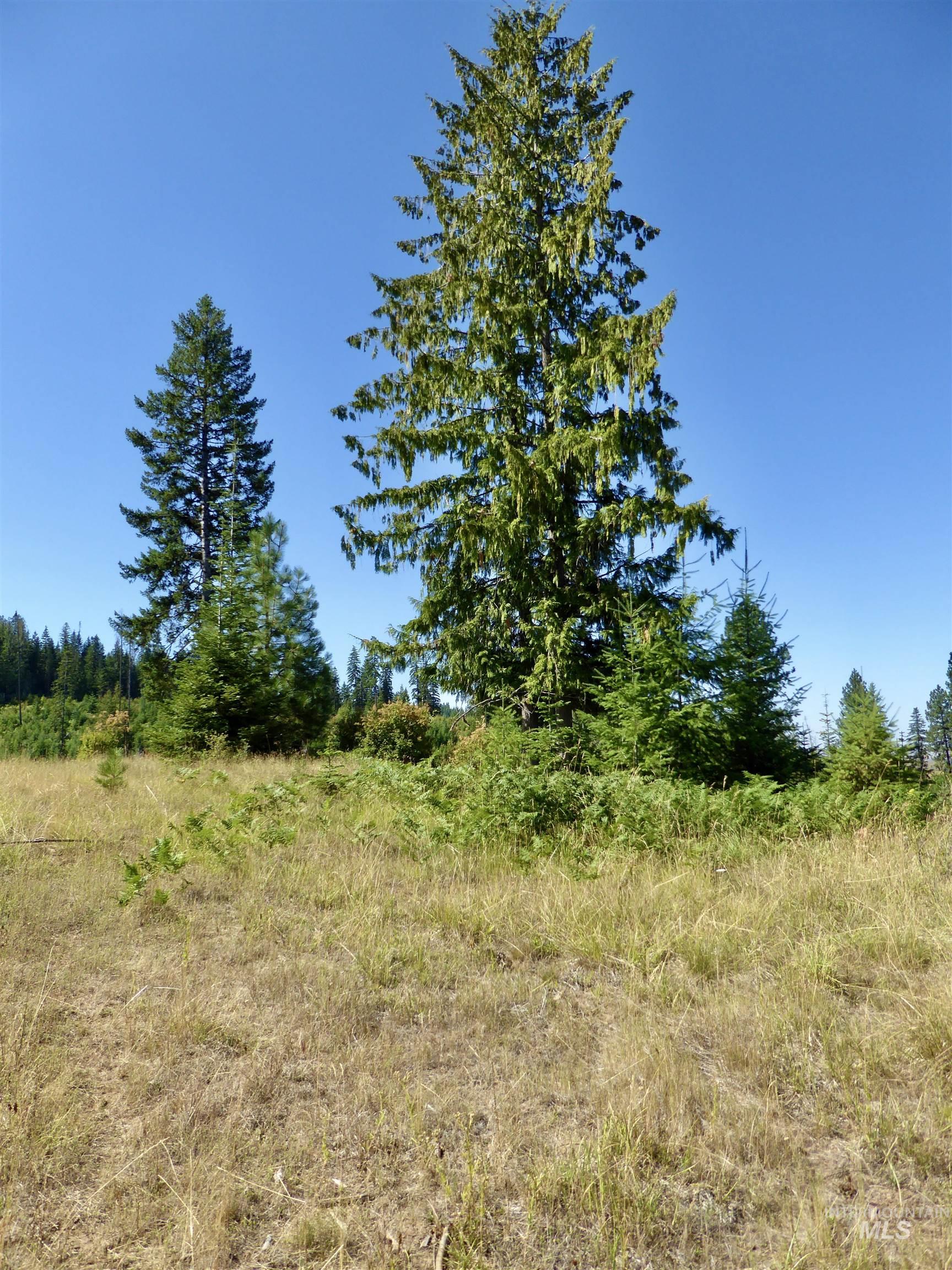 Tbd Parcel 8 Peaceful Valley Road Property Photo 5