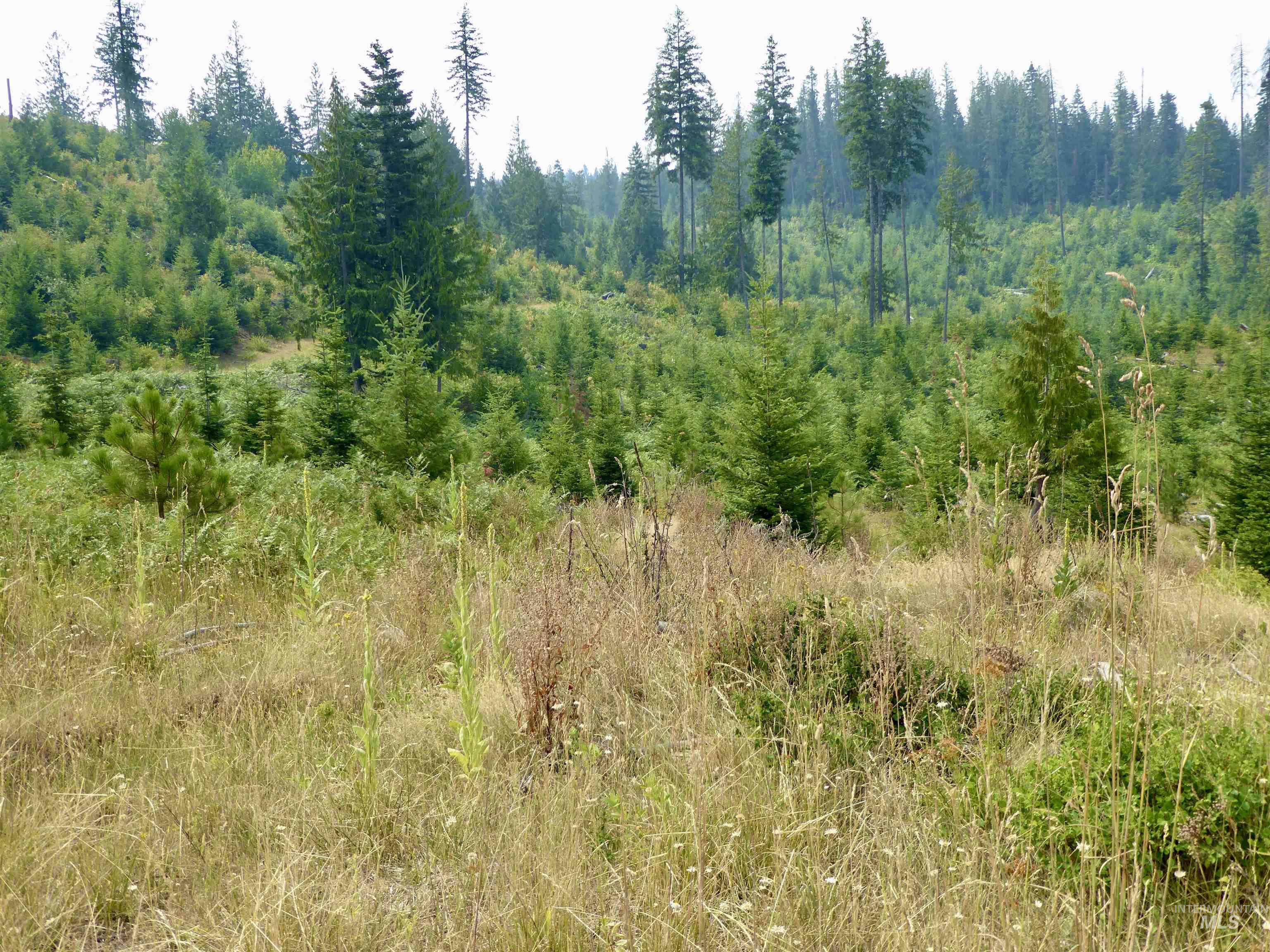Tbd Parcel 8 Peaceful Valley Road Property Photo 6
