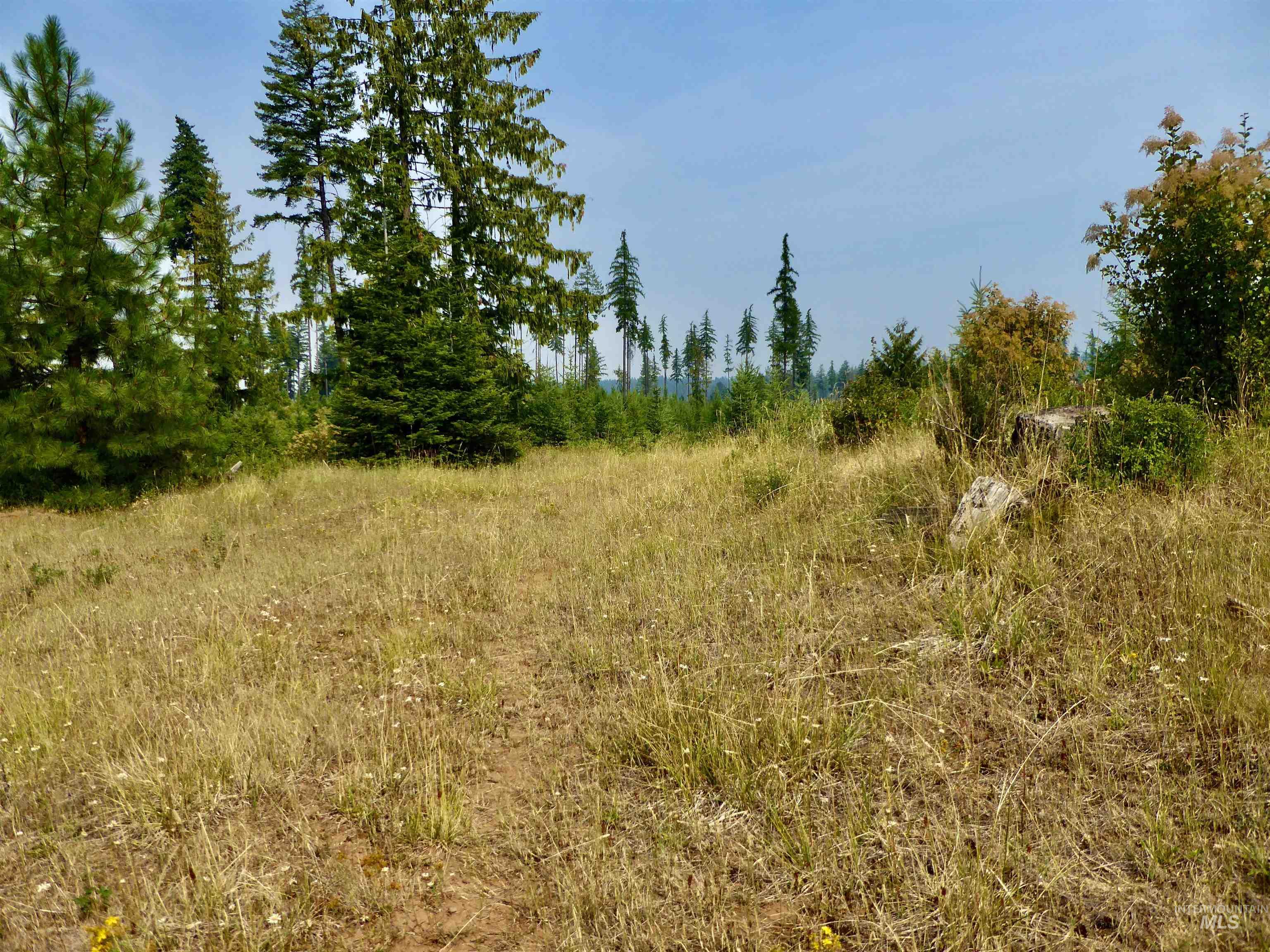 Tbd Parcel 8 Peaceful Valley Road Property Photo 7