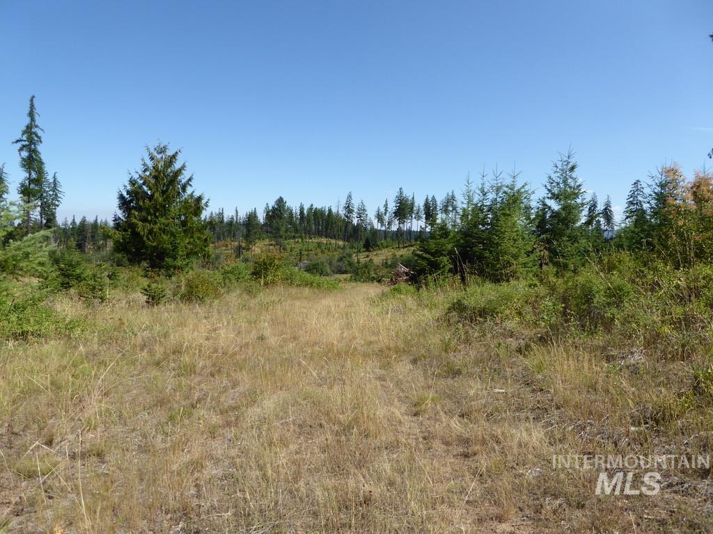 Tbd Parcel 8 Peaceful Valley Road Property Photo 13