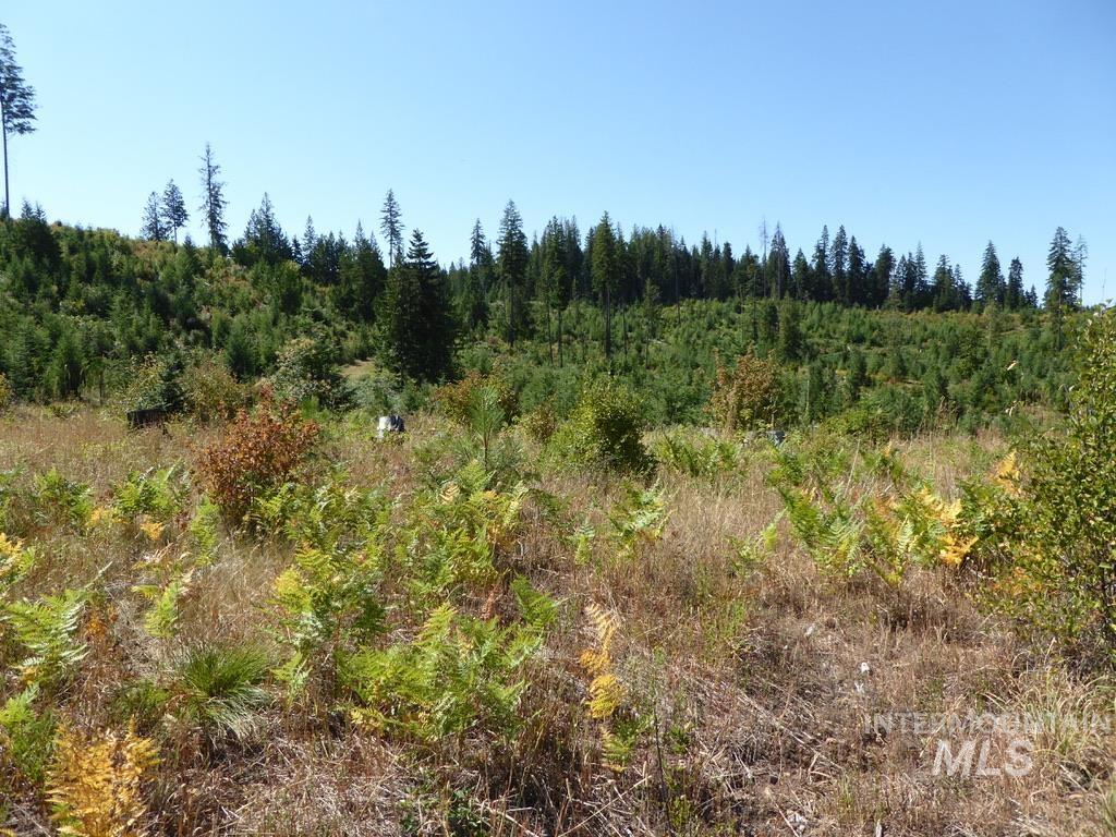 Tbd Parcel 8 Peaceful Valley Road Property Photo 14