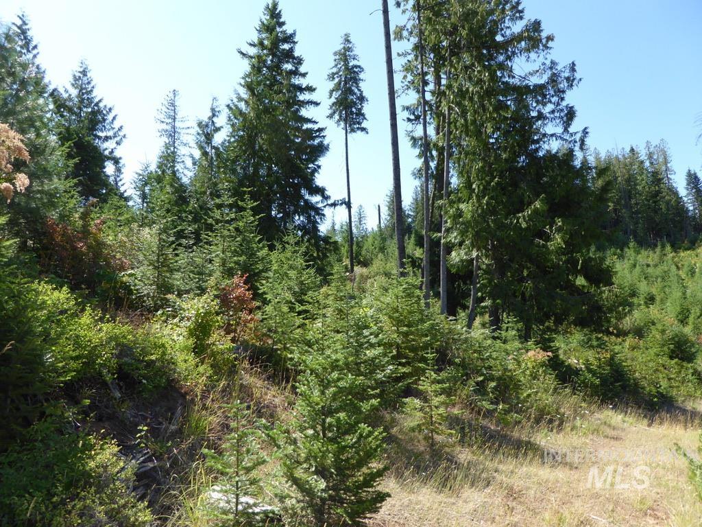 Tbd Parcel 8 Peaceful Valley Road Property Photo 15