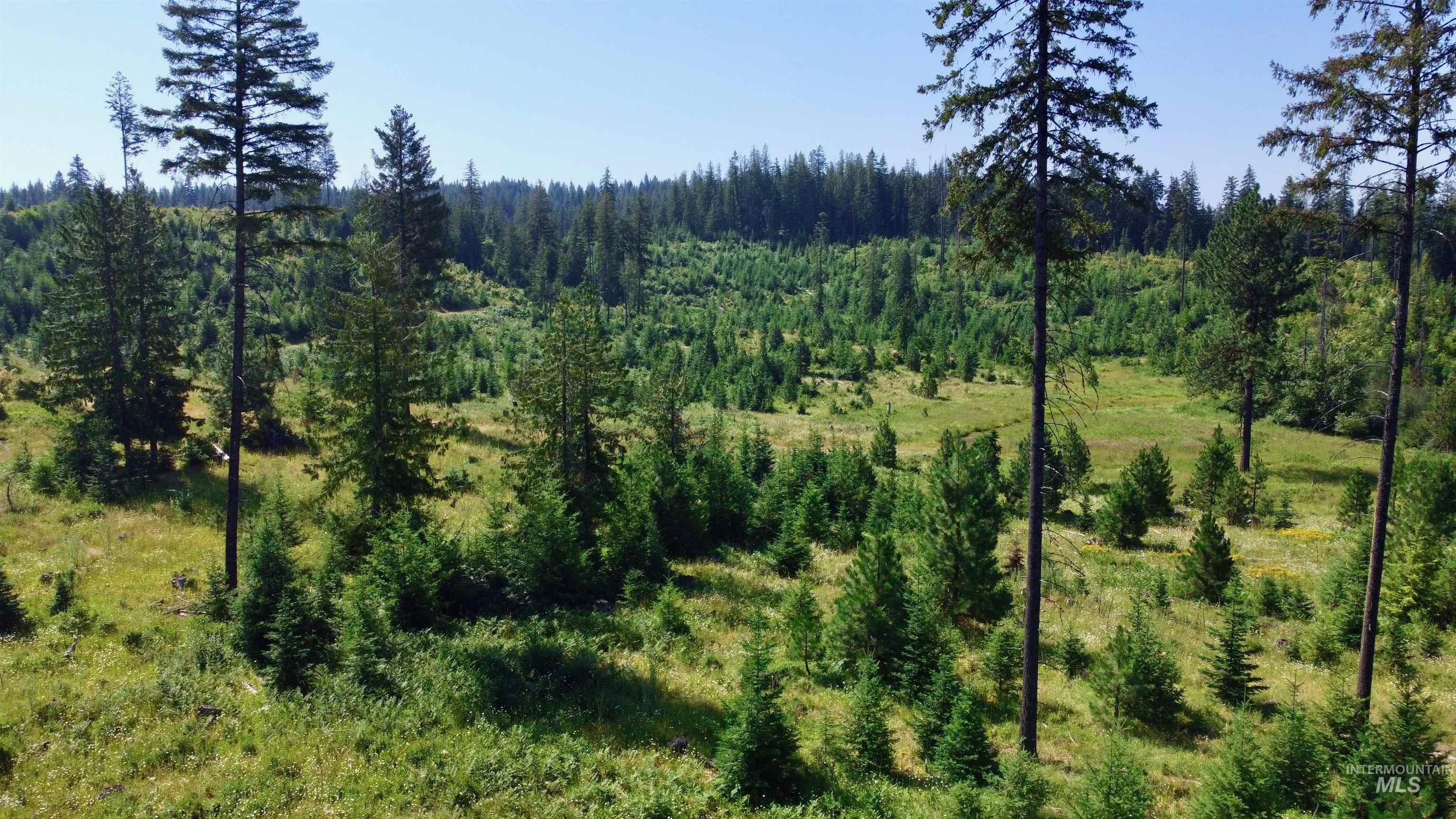 Tbd Parcel 7 Peaceful Valley Road Property Photo