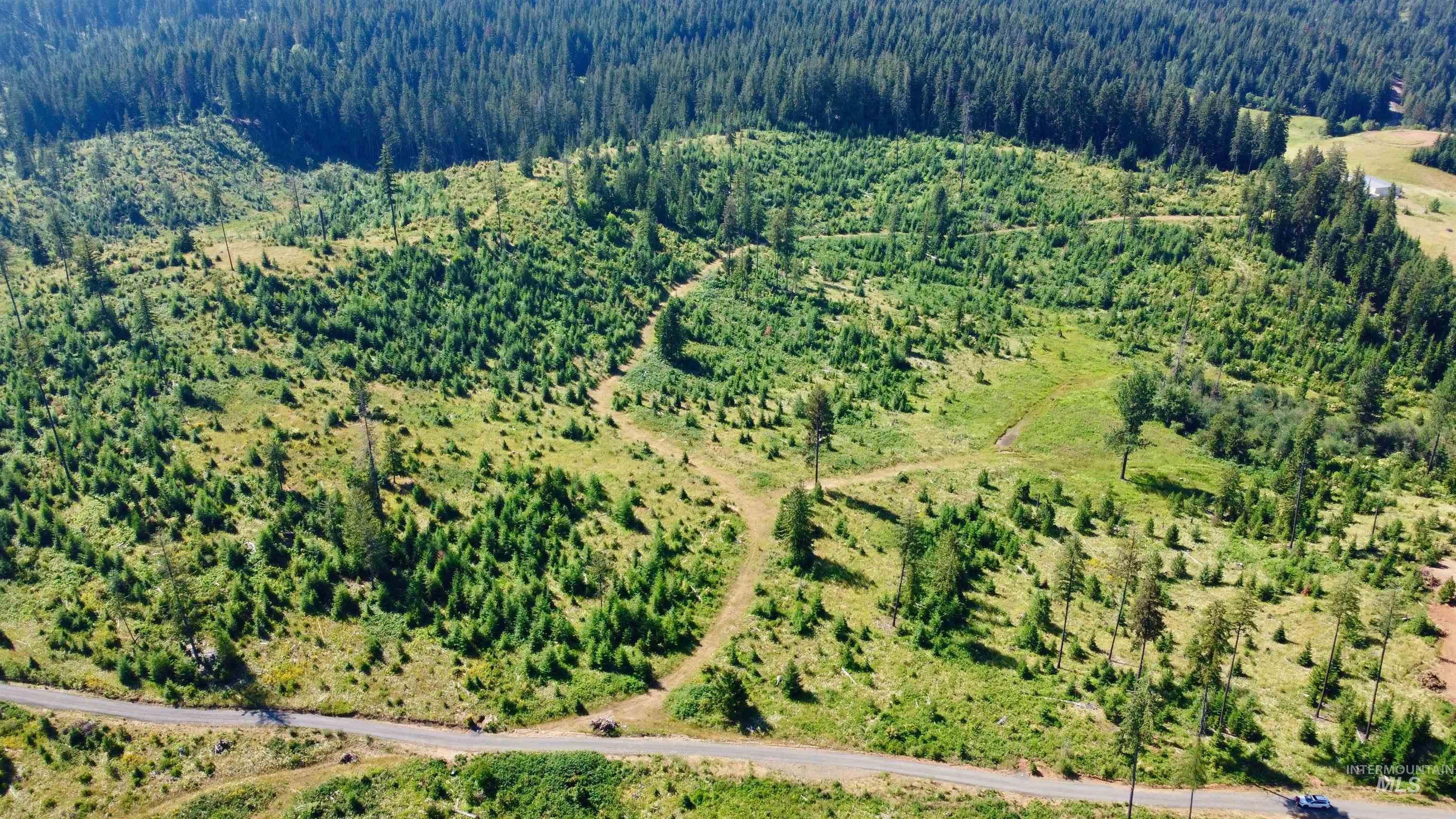 Tbd Parcel 7 Peaceful Valley Road Property Photo 3