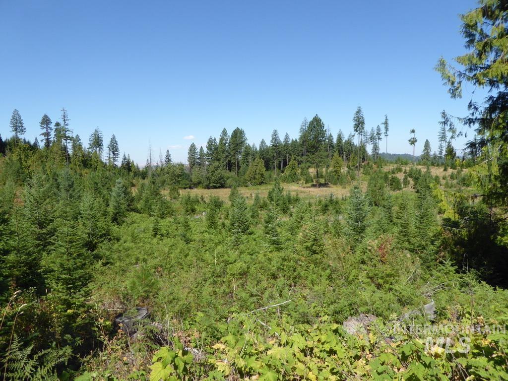 Tbd Parcel 7 Peaceful Valley Road Property Photo 4