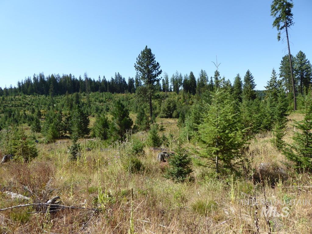 Tbd Parcel 7 Peaceful Valley Road Property Photo 5
