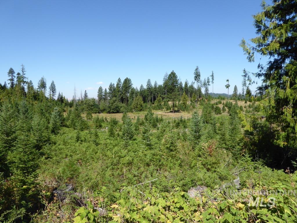 Tbd Parcel 7 Peaceful Valley Road Property Photo 7