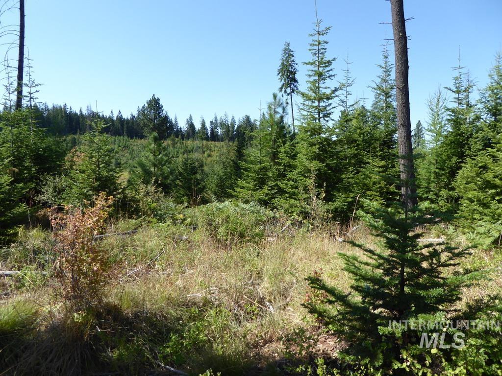 Tbd Parcel 7 Peaceful Valley Road Property Photo 8